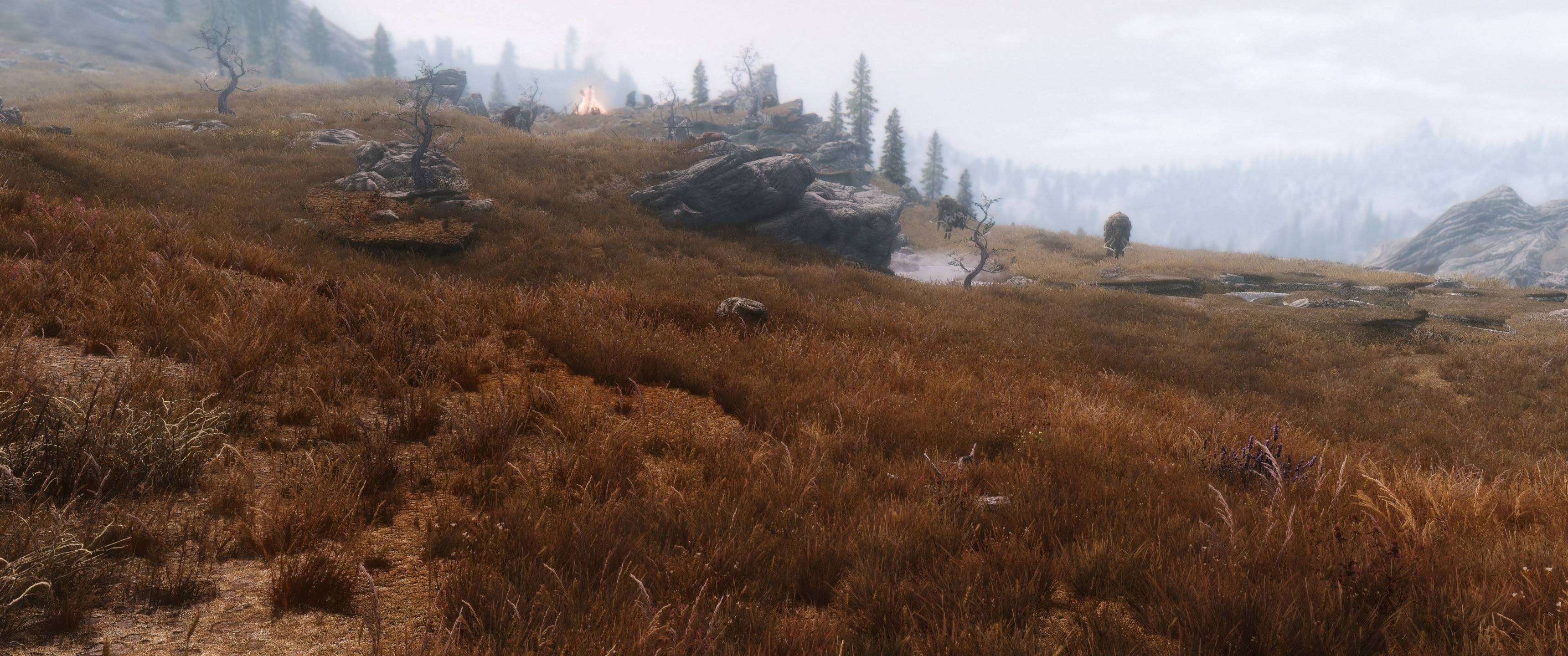 The Elder Scrolls V Skyrim landscape with a campfire HD Wallpaper