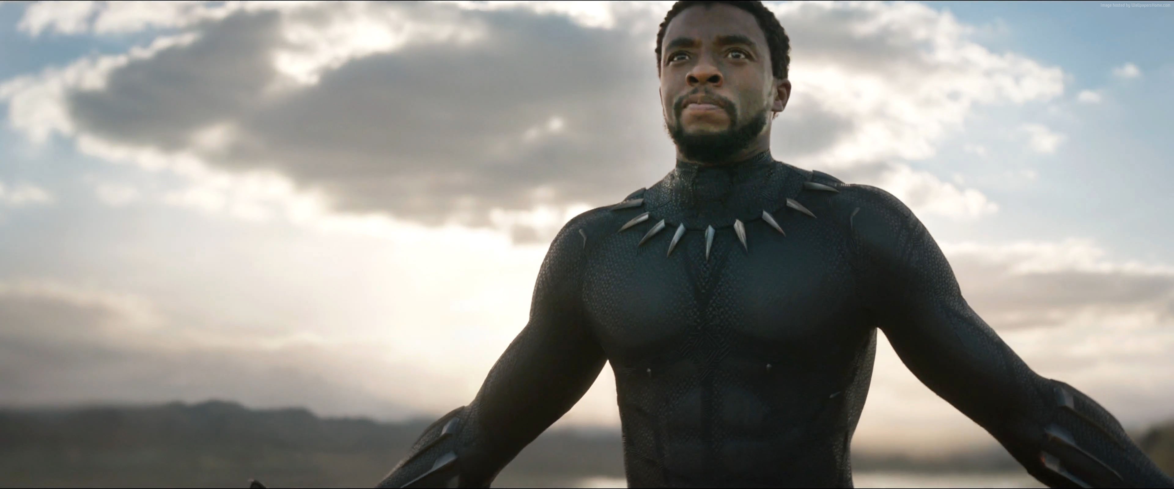 Black Panther from Black Panther HD Wallpaper