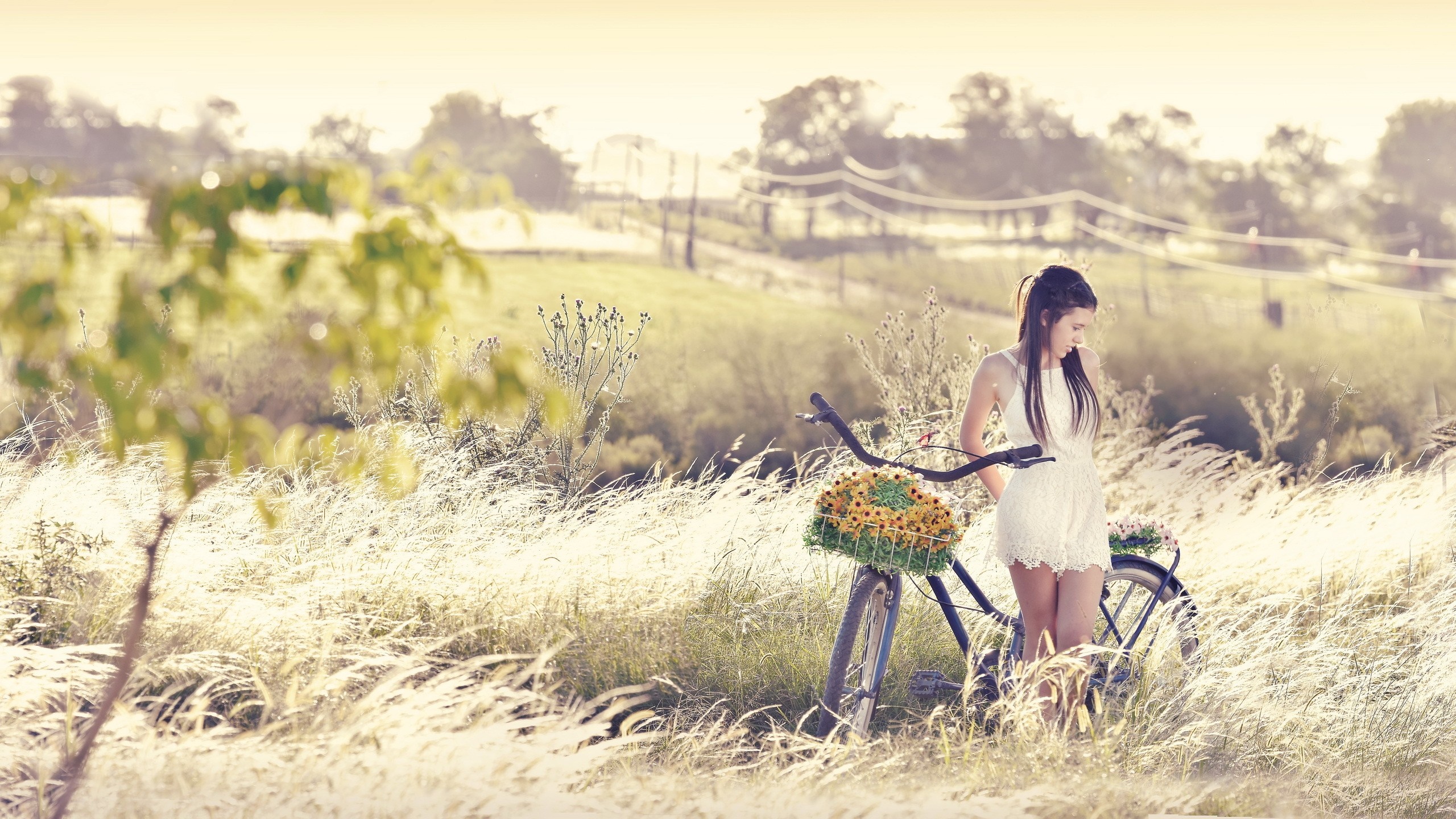 Woman in white dress with bicycle in a field HD Wallpaper