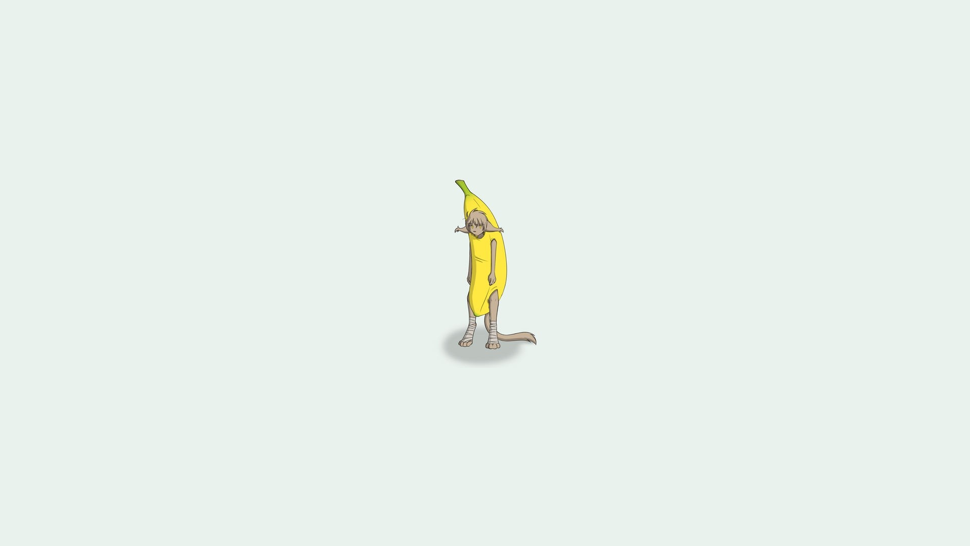 Cat in a banana costume HD Wallpaper