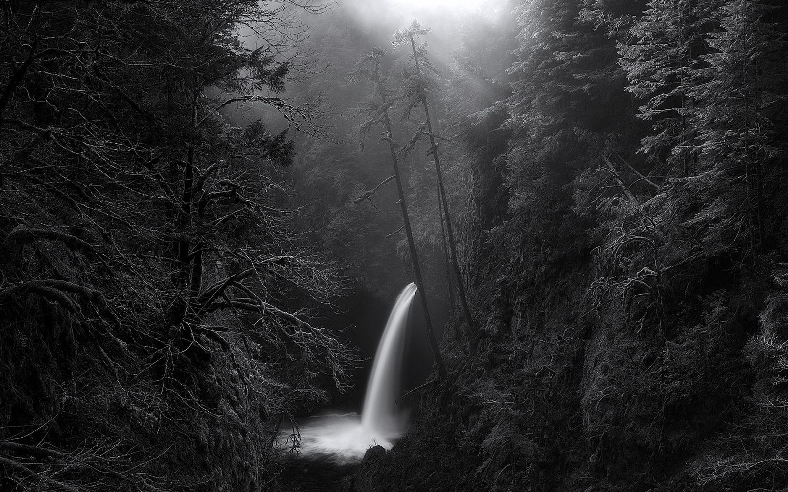Misty forest with a waterfall in black and white HD Wallpaper