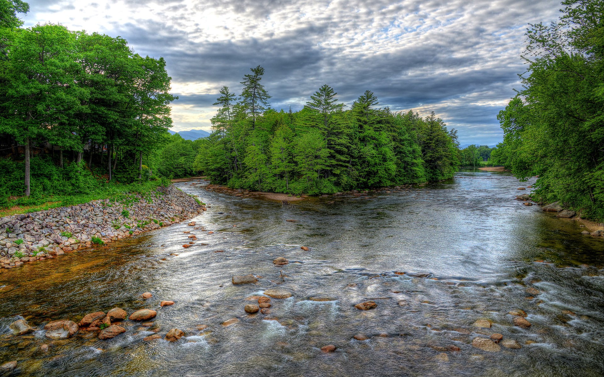 River flowing through a forest with rocky banks HD Wallpaper