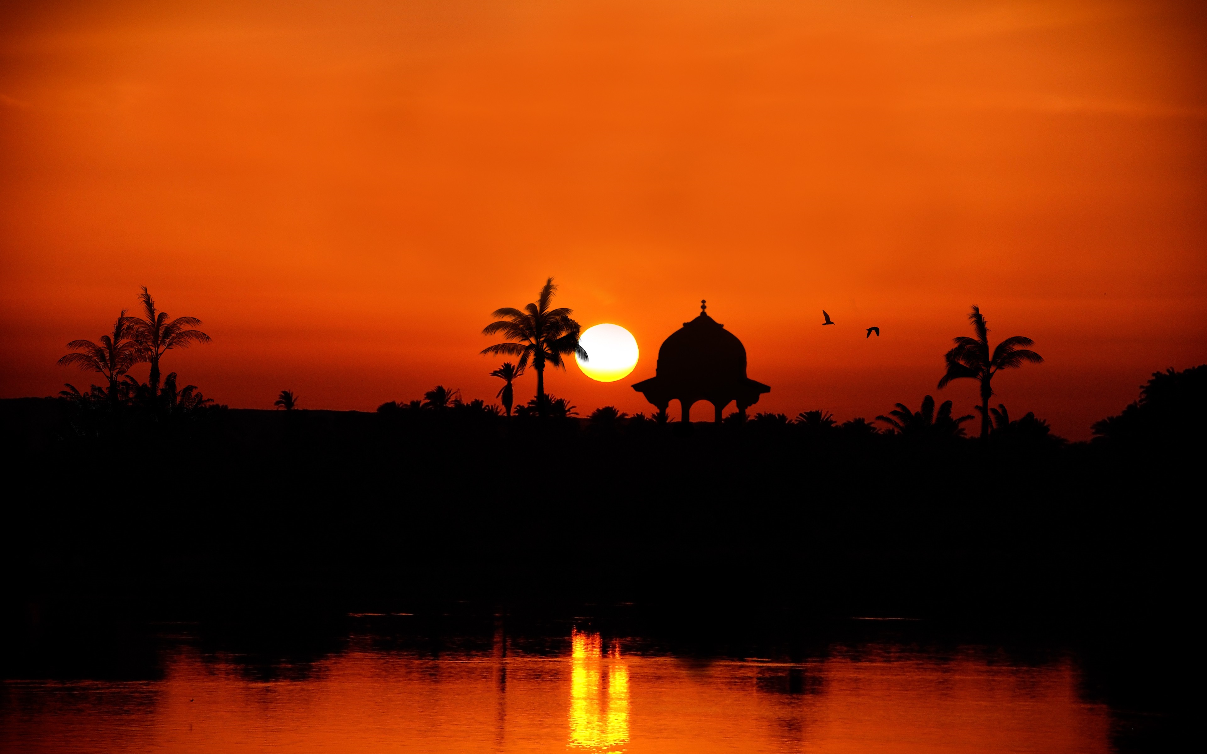 Silhouette of a domed building and palm trees at sunset over water HD Wallpaper