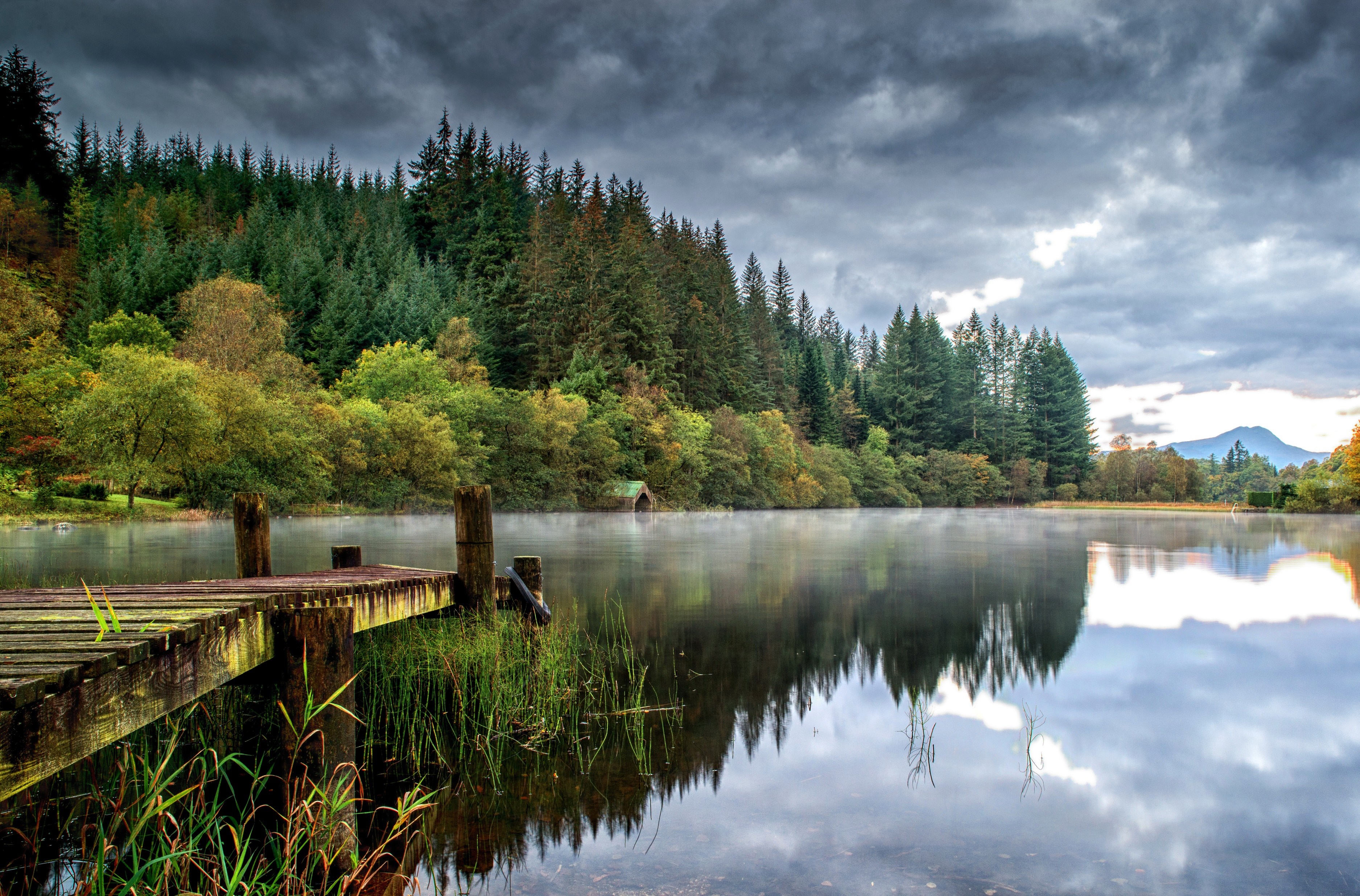 Wooden dock on a misty lake with a forest backdrop HD Wallpaper