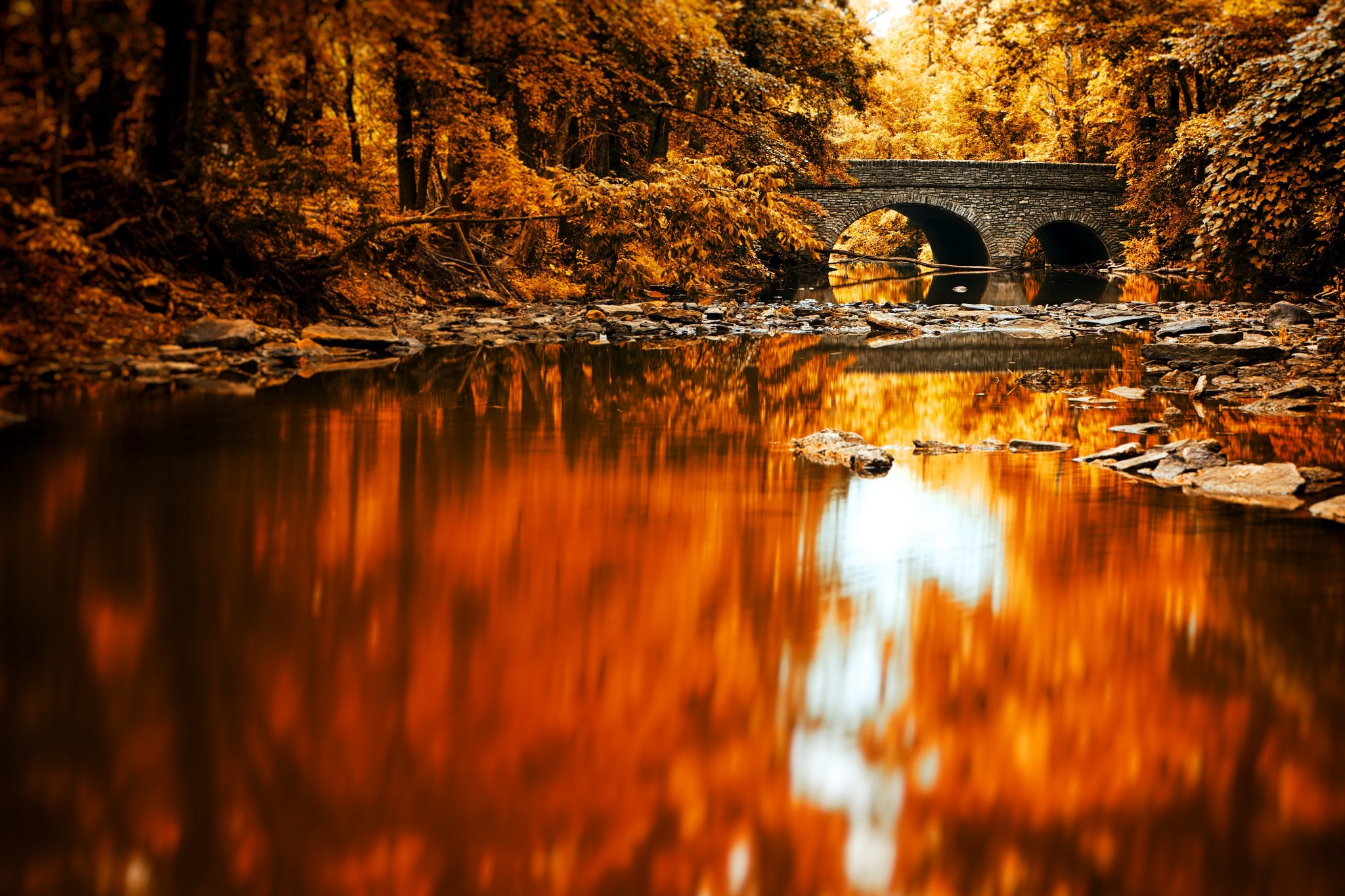 Stone bridge over a river in autumn forest HD Wallpaper