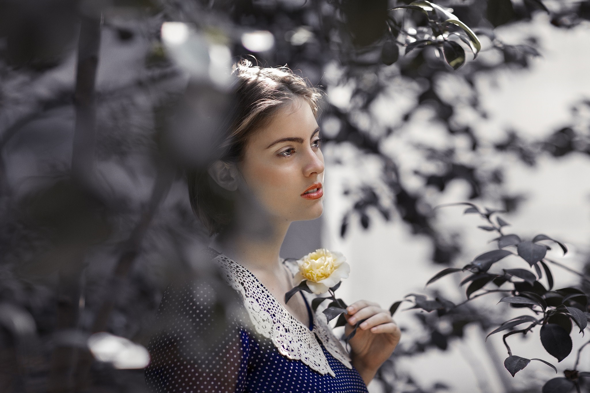 Woman holding a yellow rose in a garden HD Wallpaper
