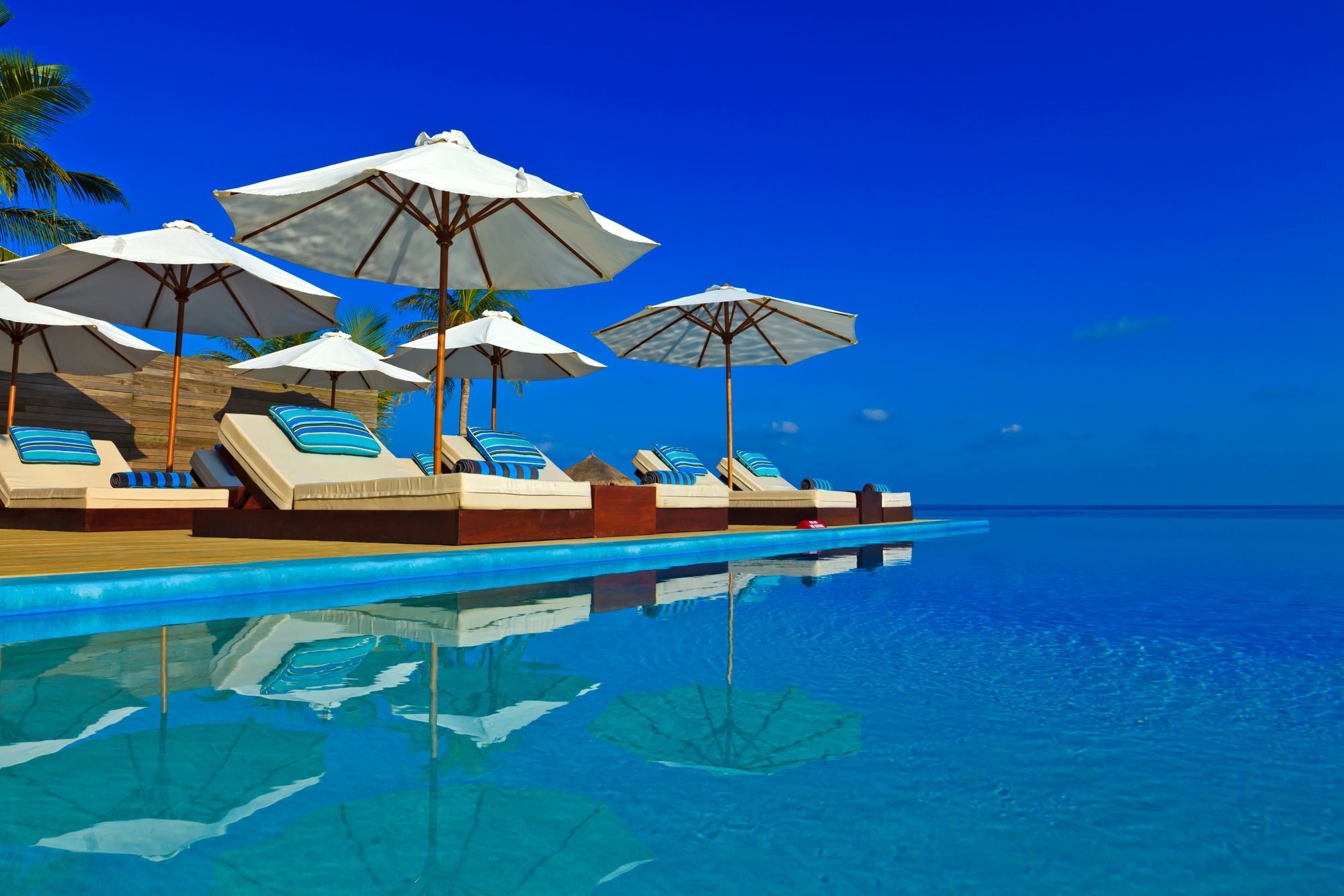 Infinity pool with lounge chairs and umbrellas by the ocean HD Wallpaper