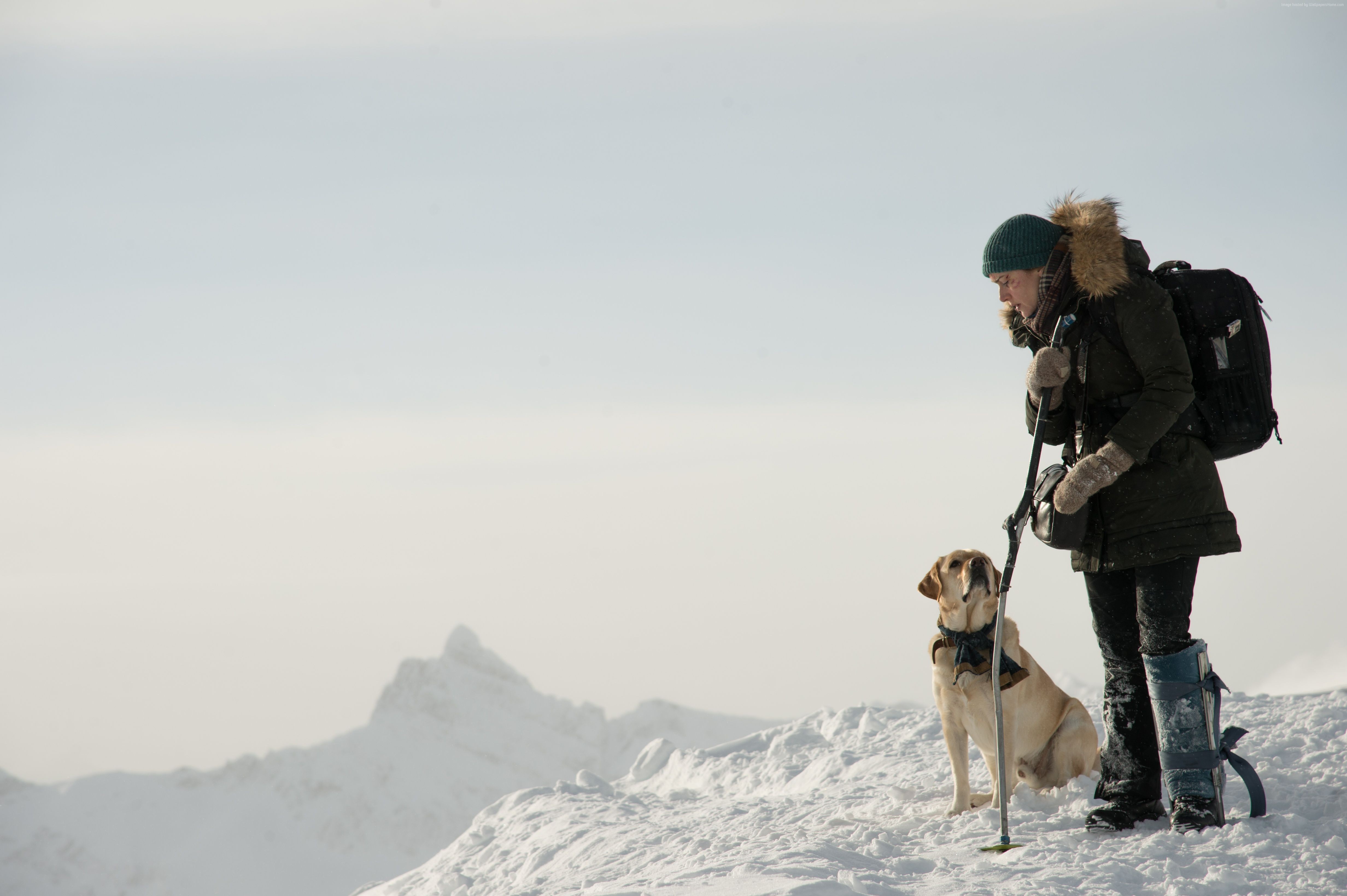 Kate Winslet from The Mountain Between Us HD Wallpaper