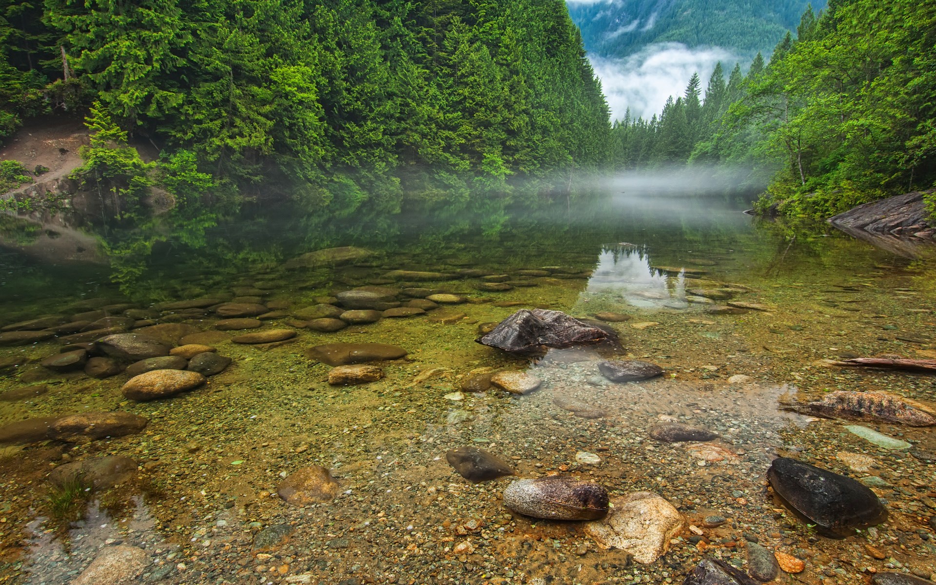 Clear lake with rocks and evergreen forest HD Wallpaper