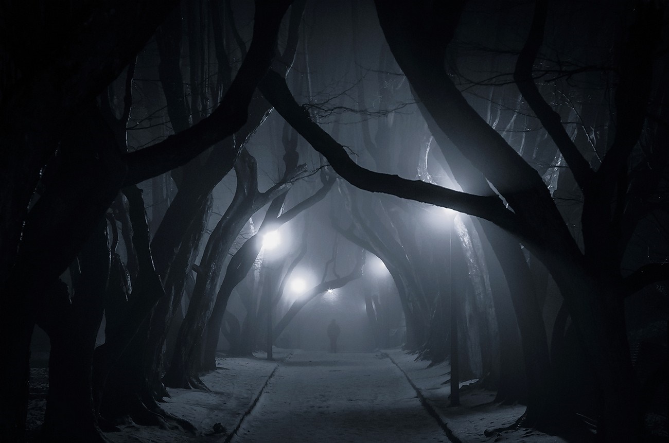 A lone figure walks down a foggy, tree-lined path at night. HD Wallpaper