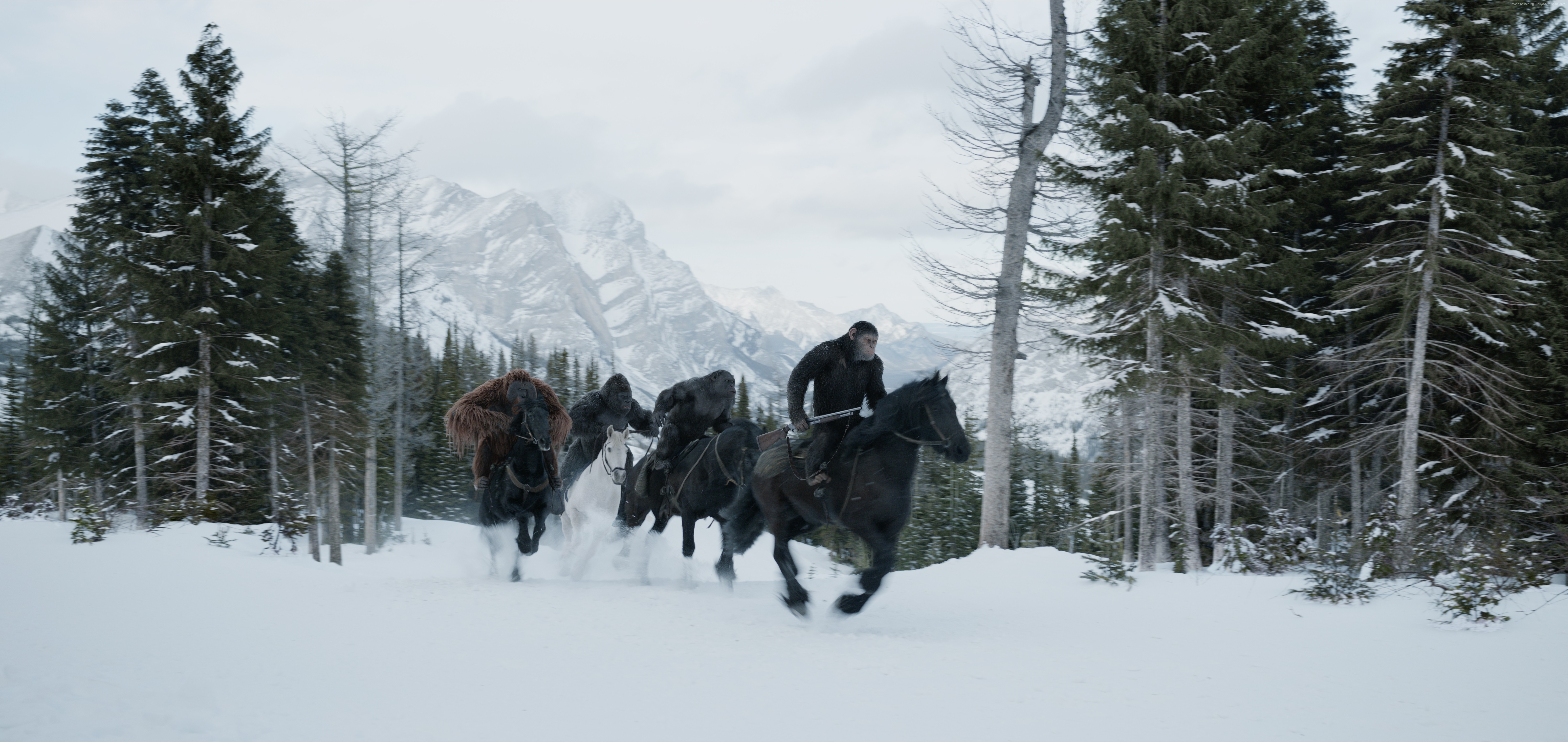 War for the Planet of the Apes 4K HD Wallpaper