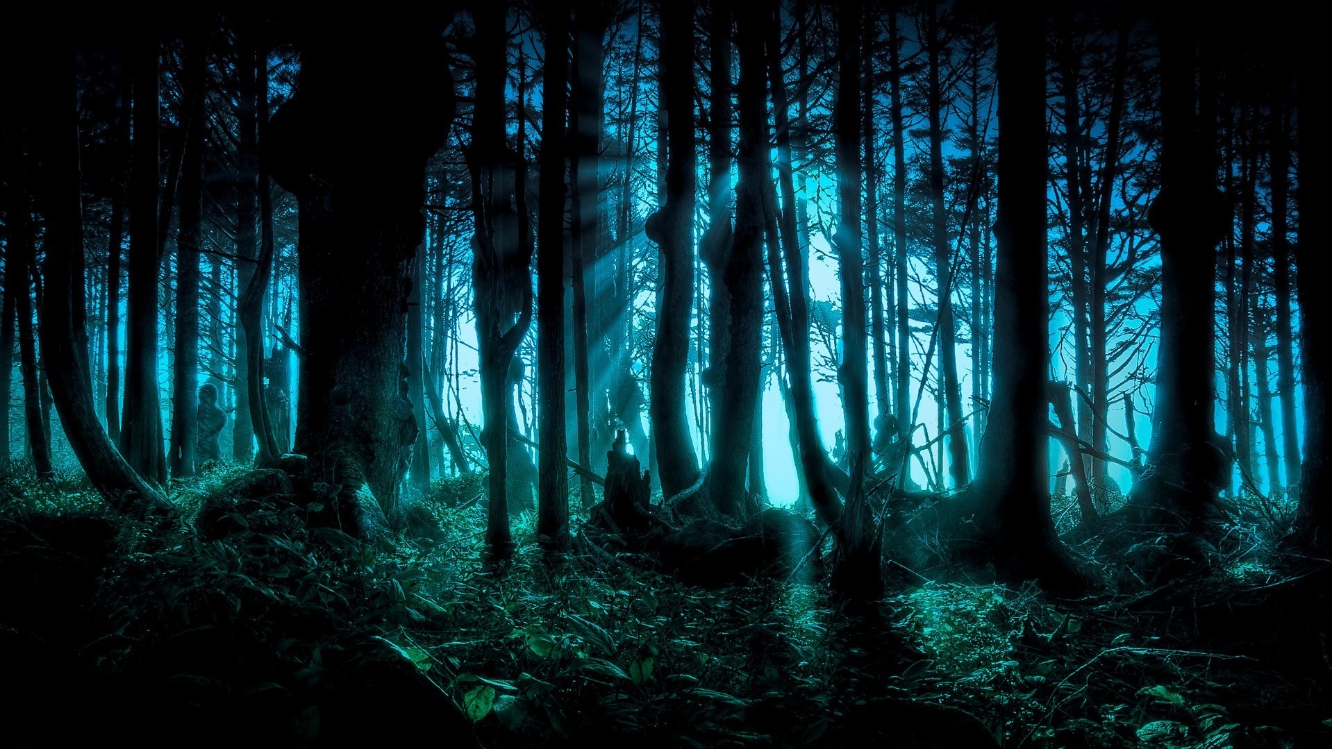 Dark forest with blue light and sunbeams HD Wallpaper