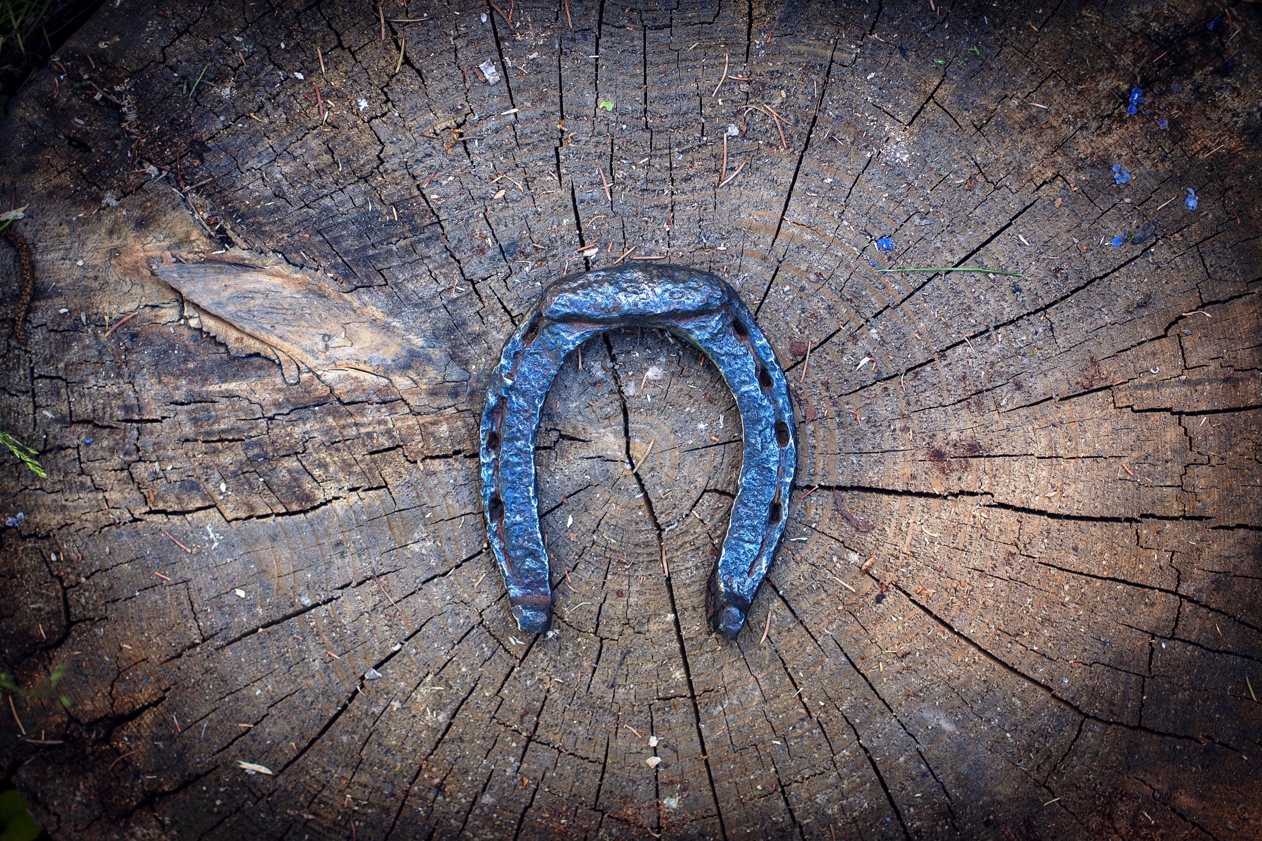 Blue horseshoe on a weathered wood stump HD Wallpaper