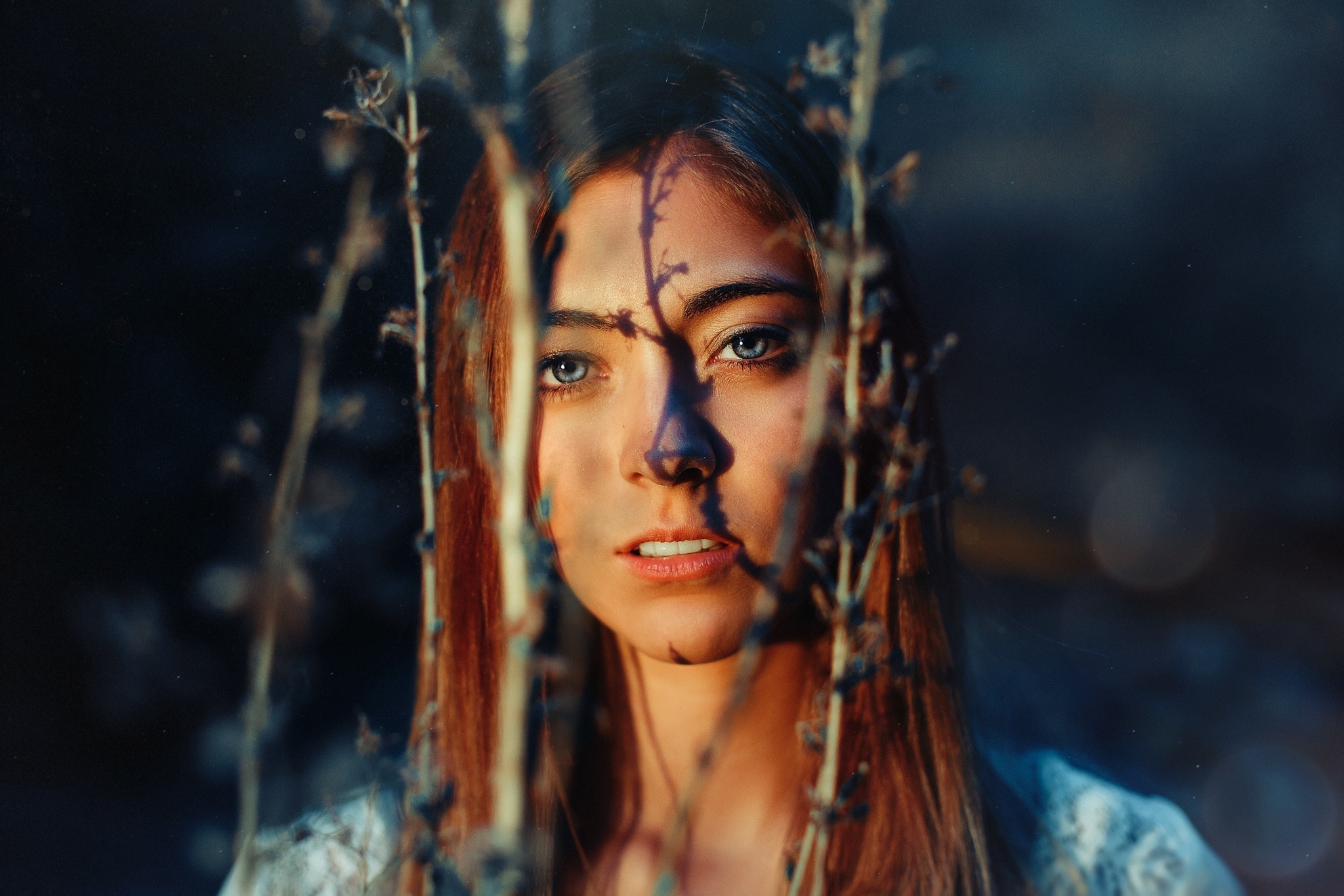 Woman with blue eyes behind branches HD Wallpaper