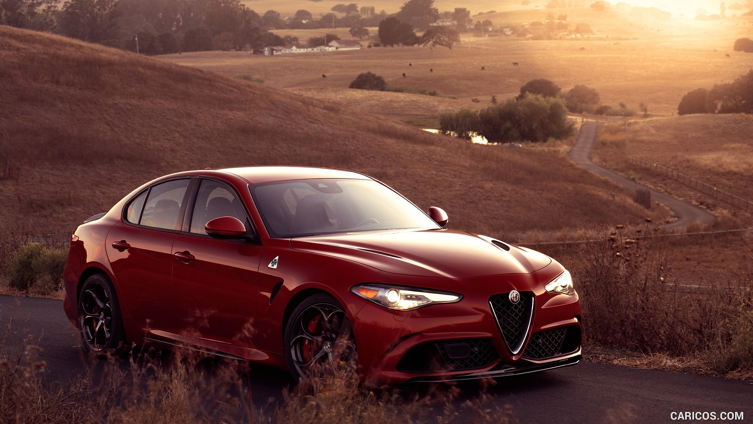 Red Alfa Romeo Giulia Quadrifoglio on a country road HD Wallpaper