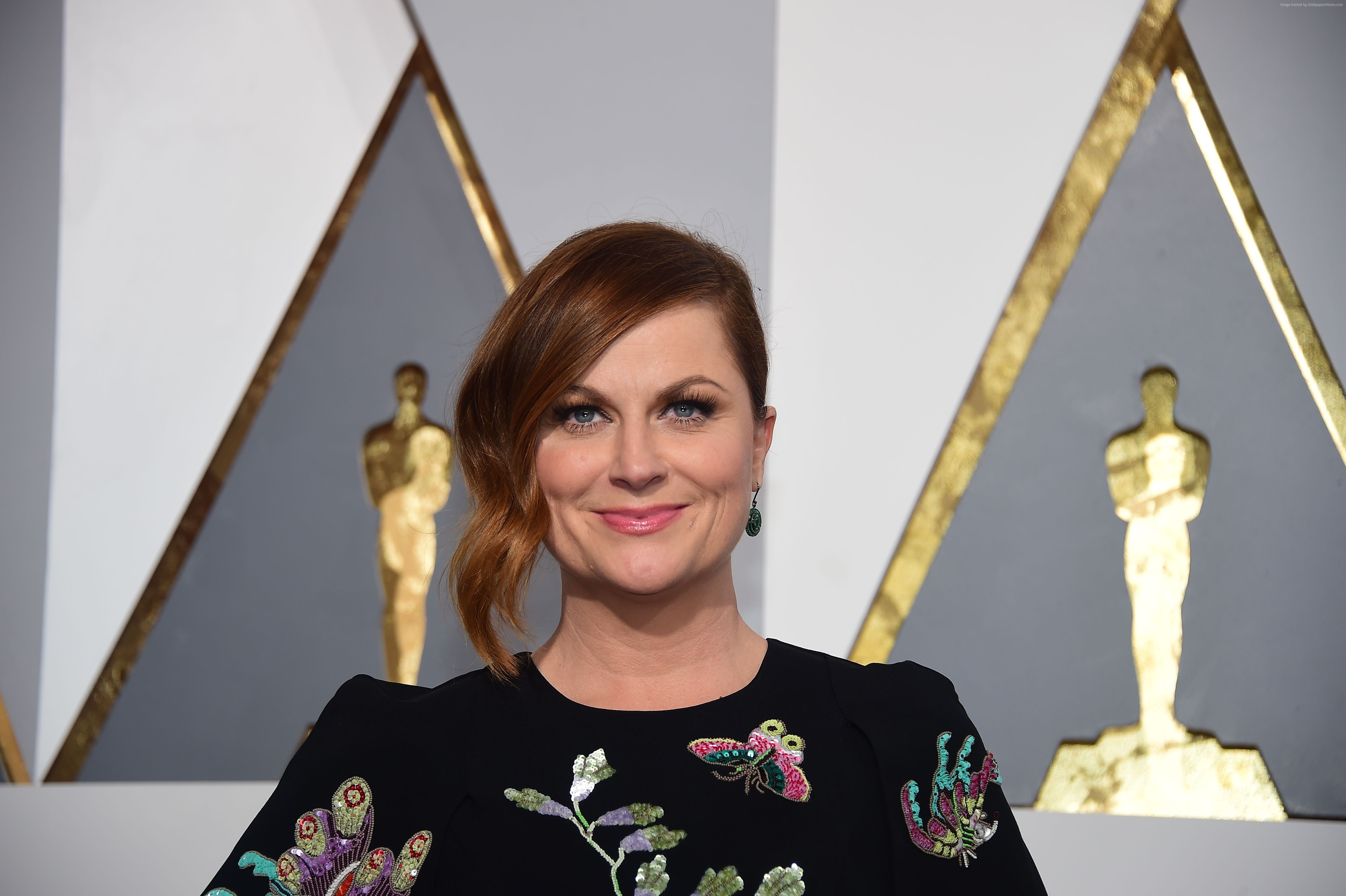 Amy Poehler at the Oscars HD Wallpaper