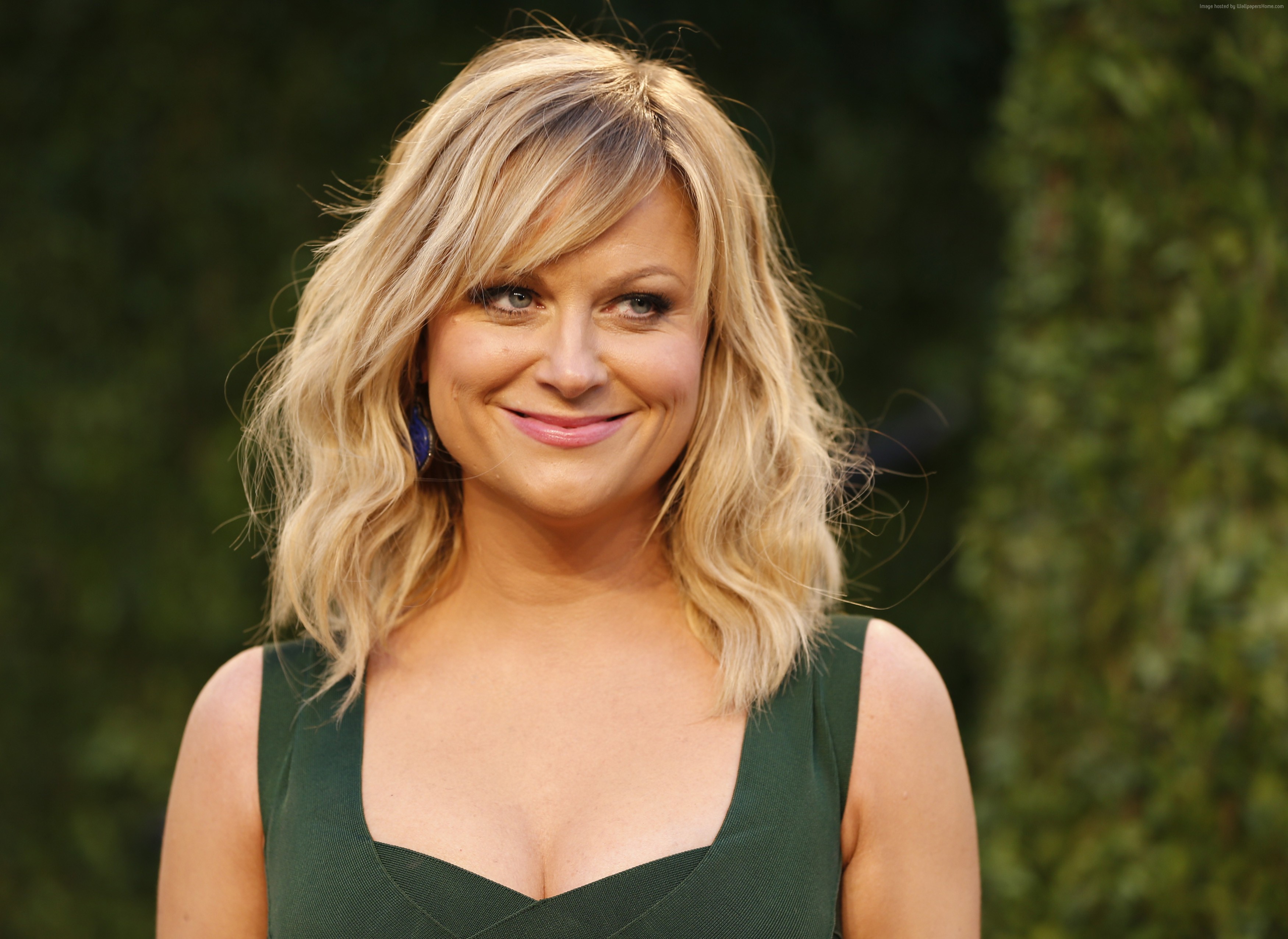 Amy Poehler 4K HD Wallpaper