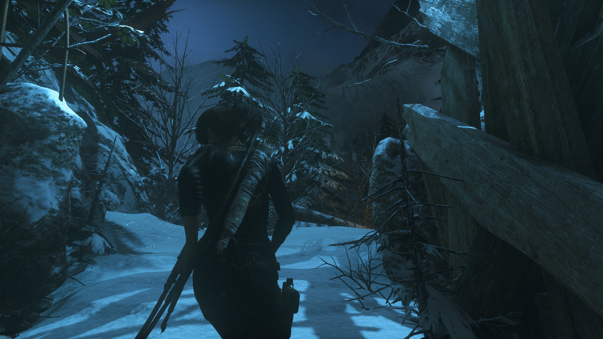 Lara Croft from Rise of the Tomb Raider in a snowy forest at night HD Wallpaper