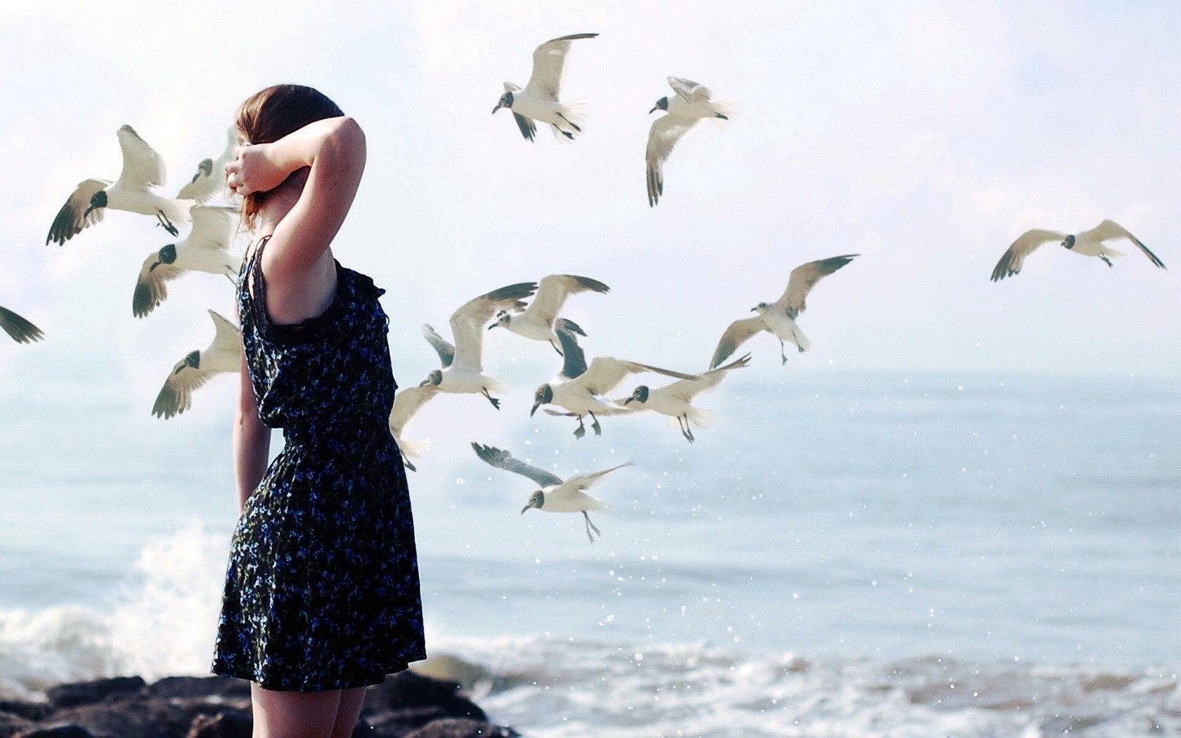 Woman with seagulls at the beach HD Wallpaper