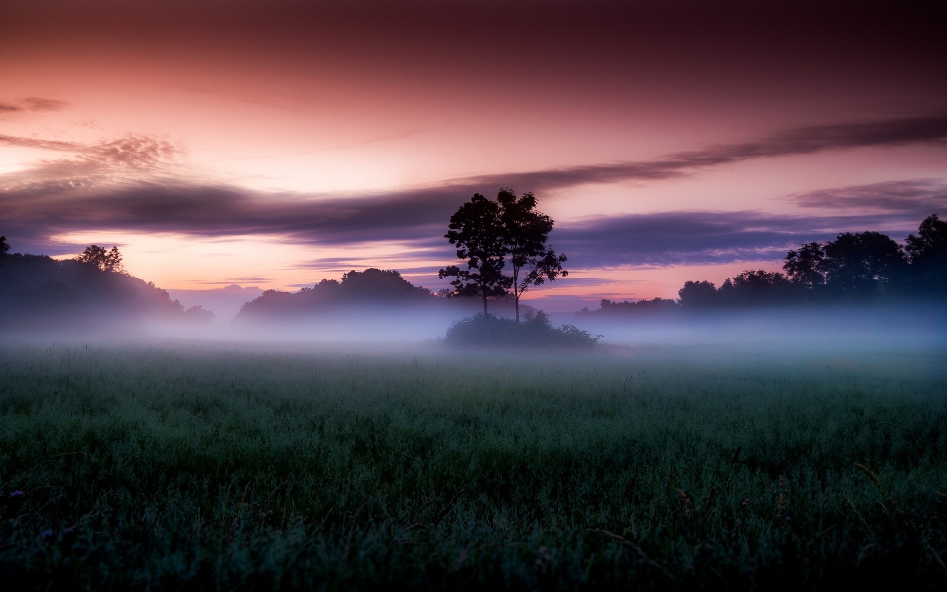 Misty field at sunrise with colorful sky and trees HD Wallpaper