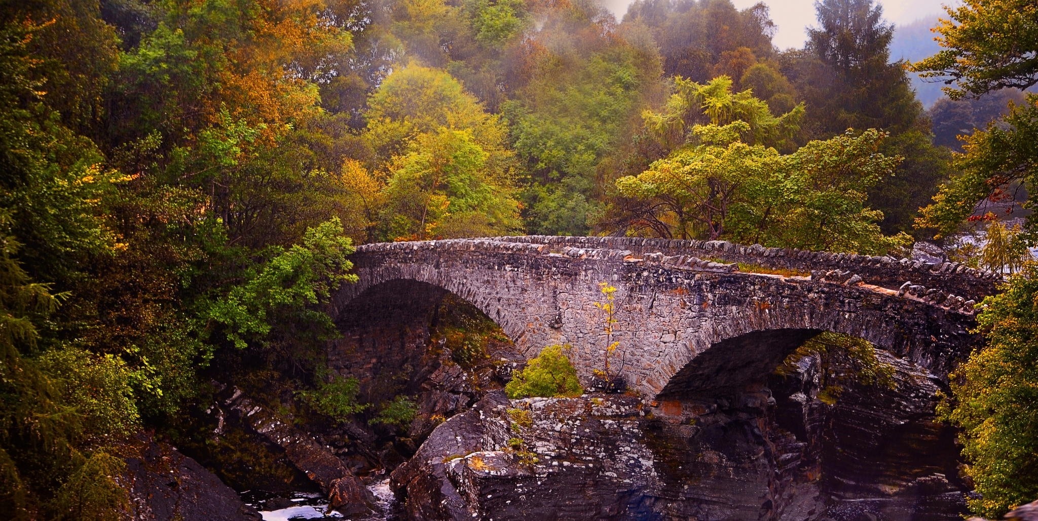 Stone bridge over a river in an autumn forest HD Wallpaper