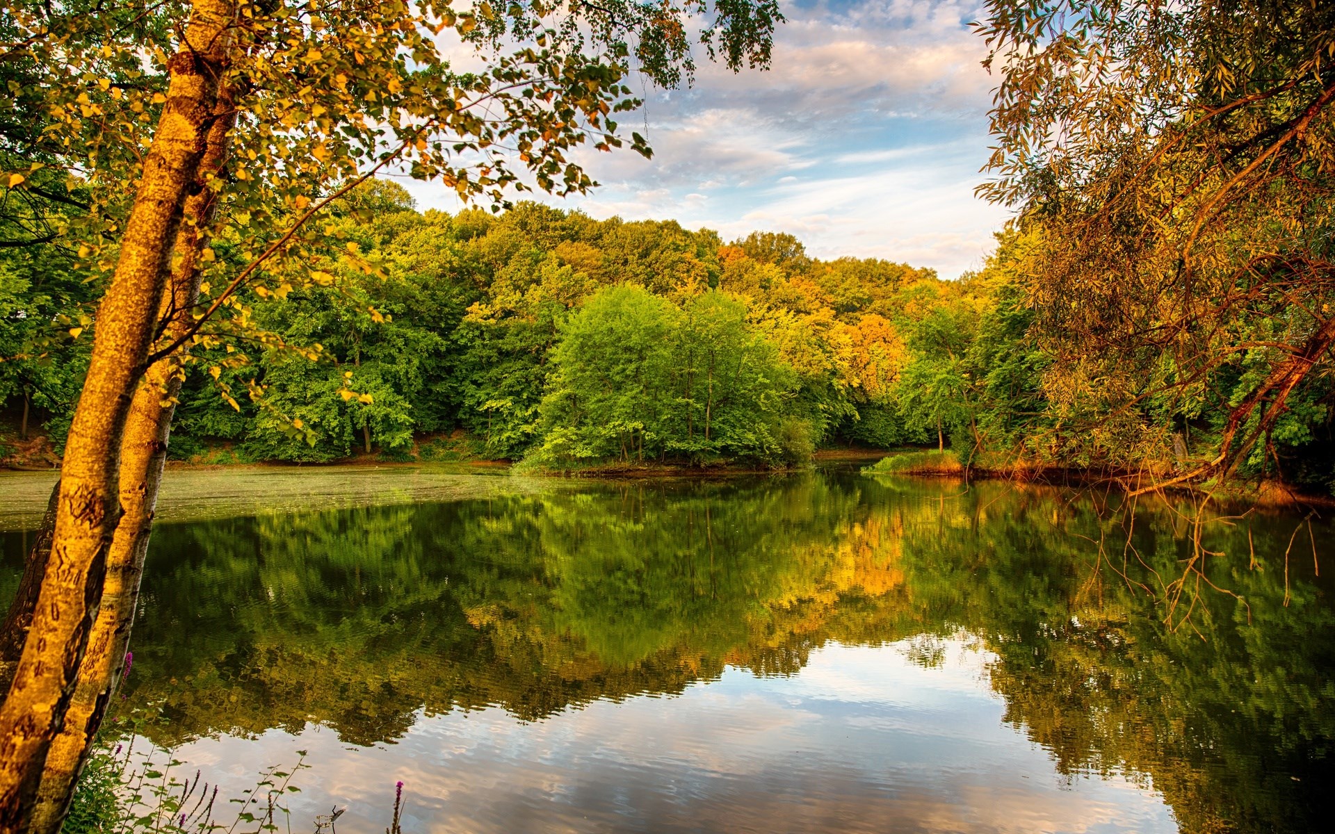 Autumn forest reflected in a calm lake HD Wallpaper