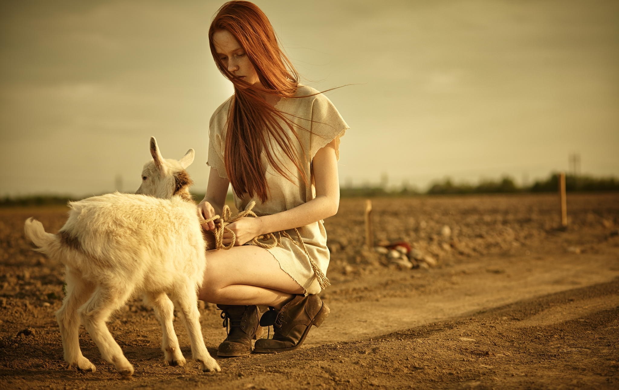 Redhead woman with goat in a field HD Wallpaper