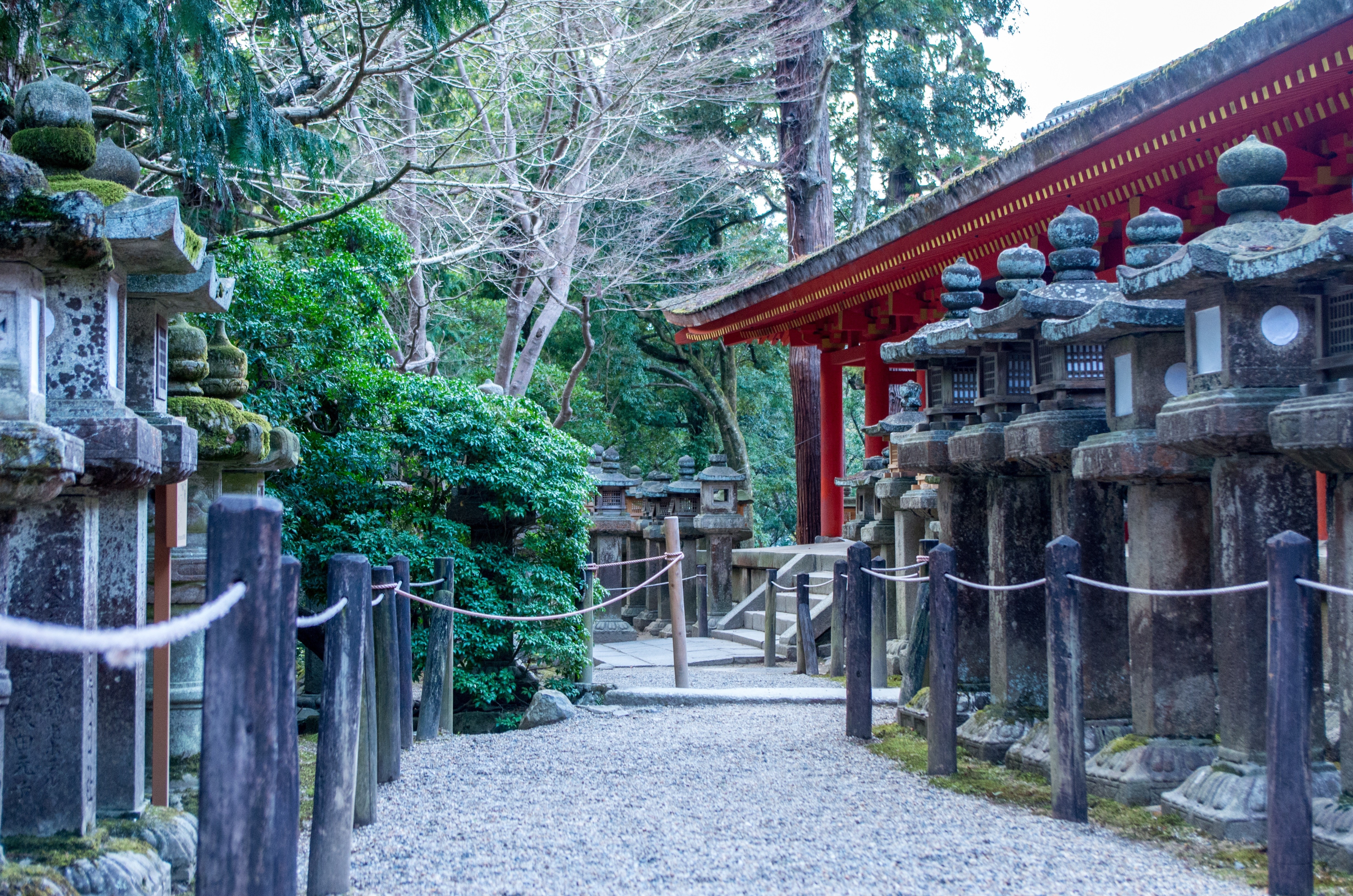Stone lanterns line a path to a red temple building HD Wallpaper