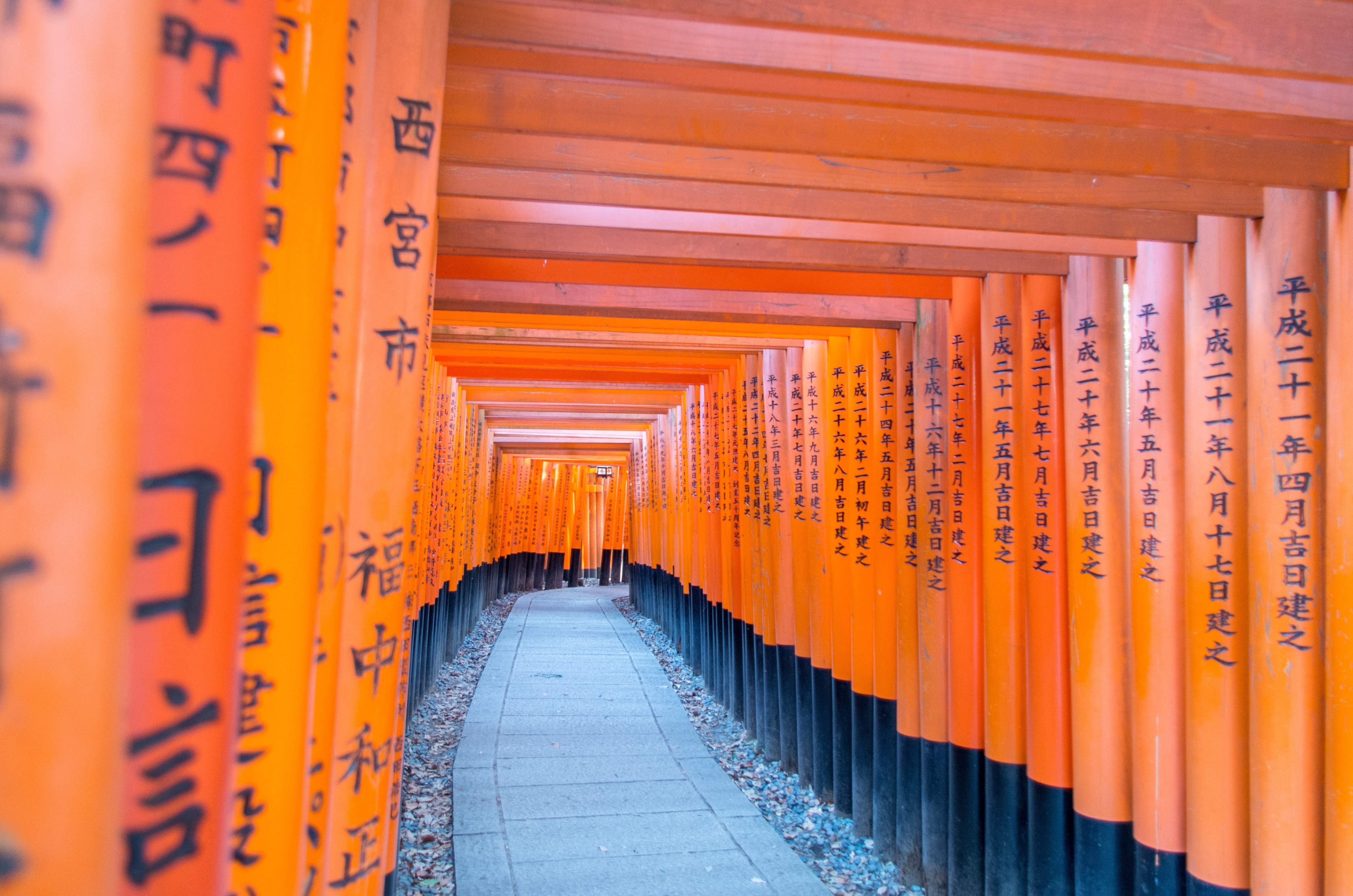 Orange Torii Gates with Japanese Calligraphy HD Wallpaper
