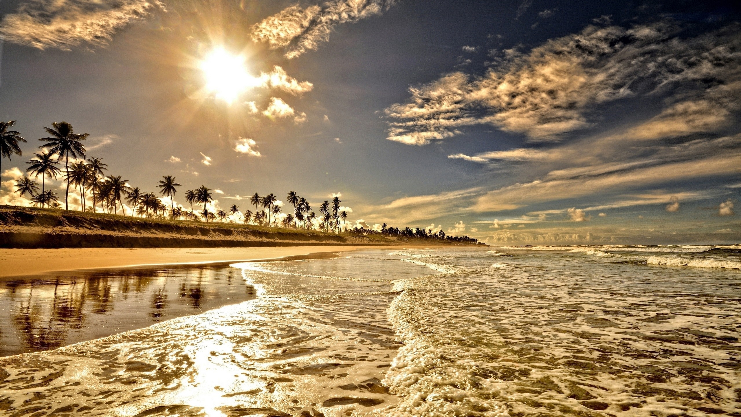 Beach with palm trees and ocean waves at sunset HD Wallpaper