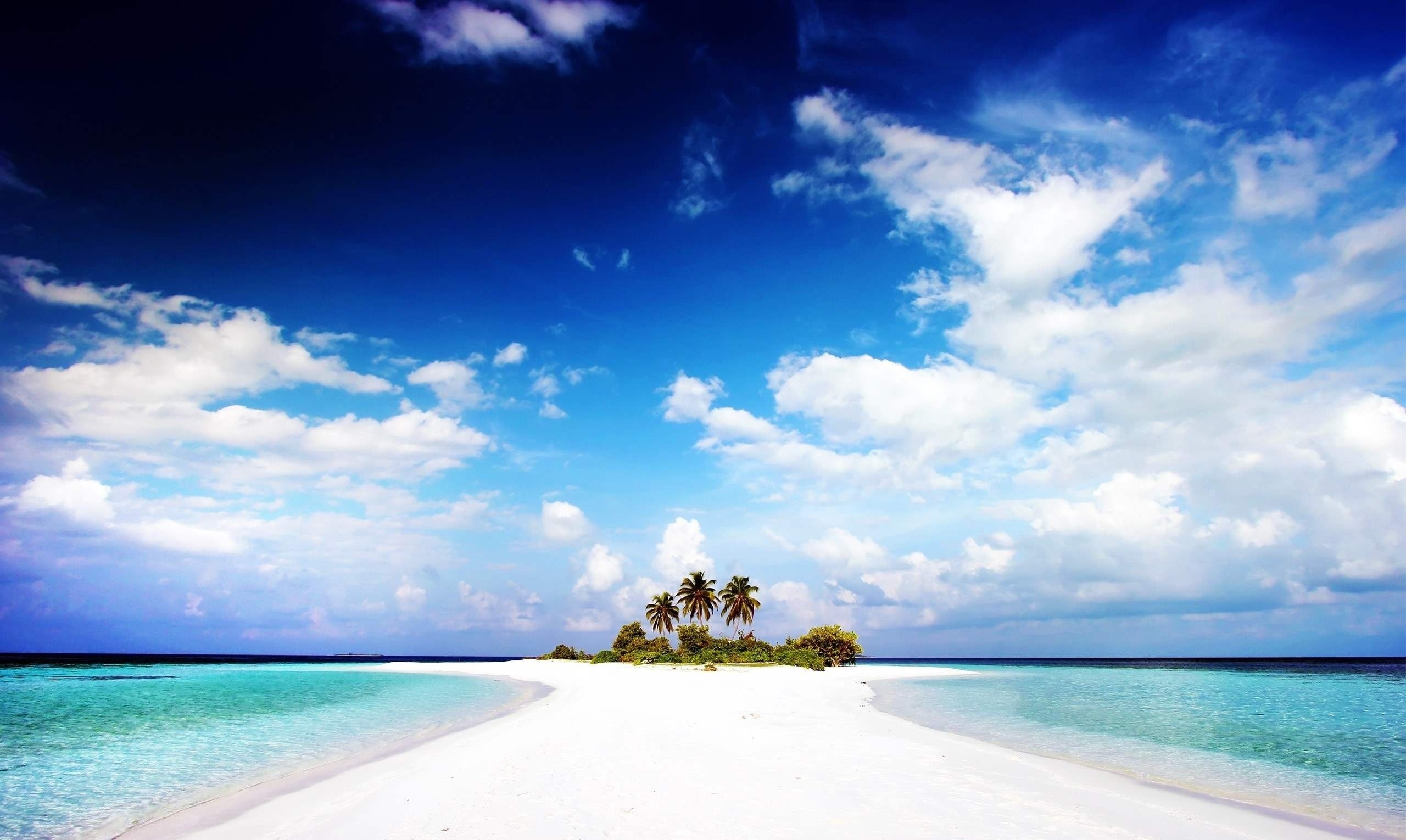 Tropical island with palm trees in the ocean HD Wallpaper