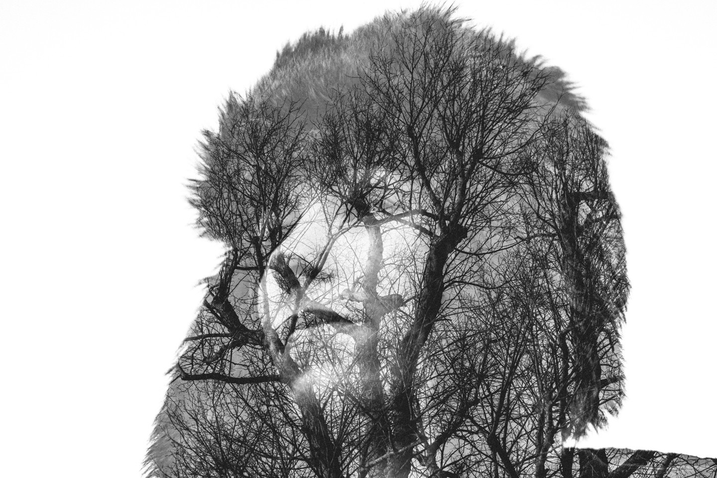 Double exposure of a woman's face and trees HD Wallpaper