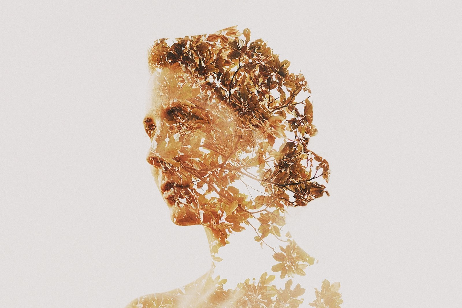 Double exposure of a woman's profile with golden leaves HD Wallpaper