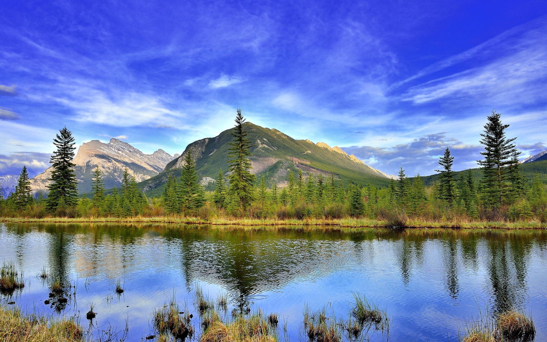 Mountain lake with pine trees and reflection HD Wallpaper
