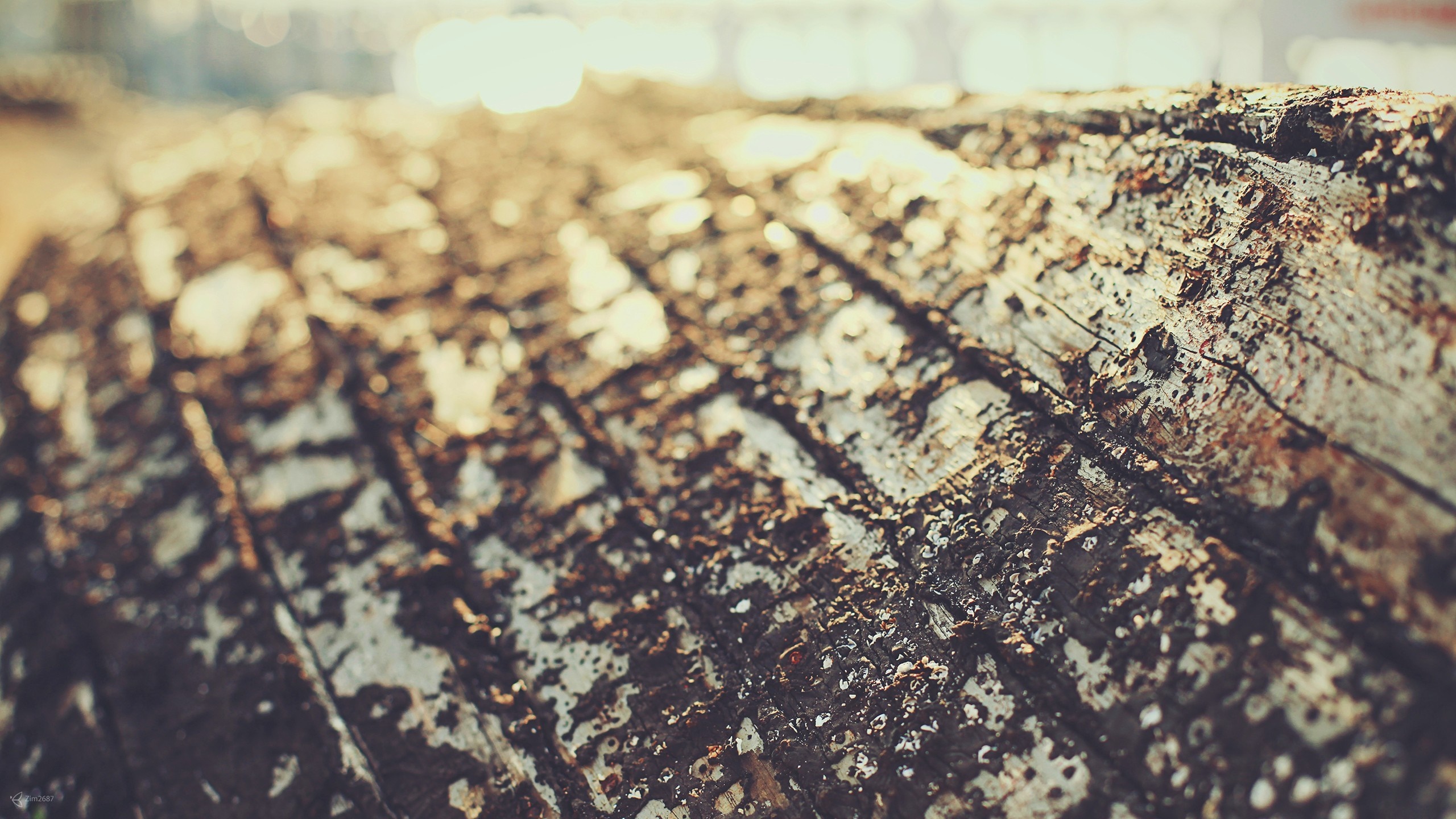 Close up of weathered wood texture with shallow depth of field HD Wallpaper