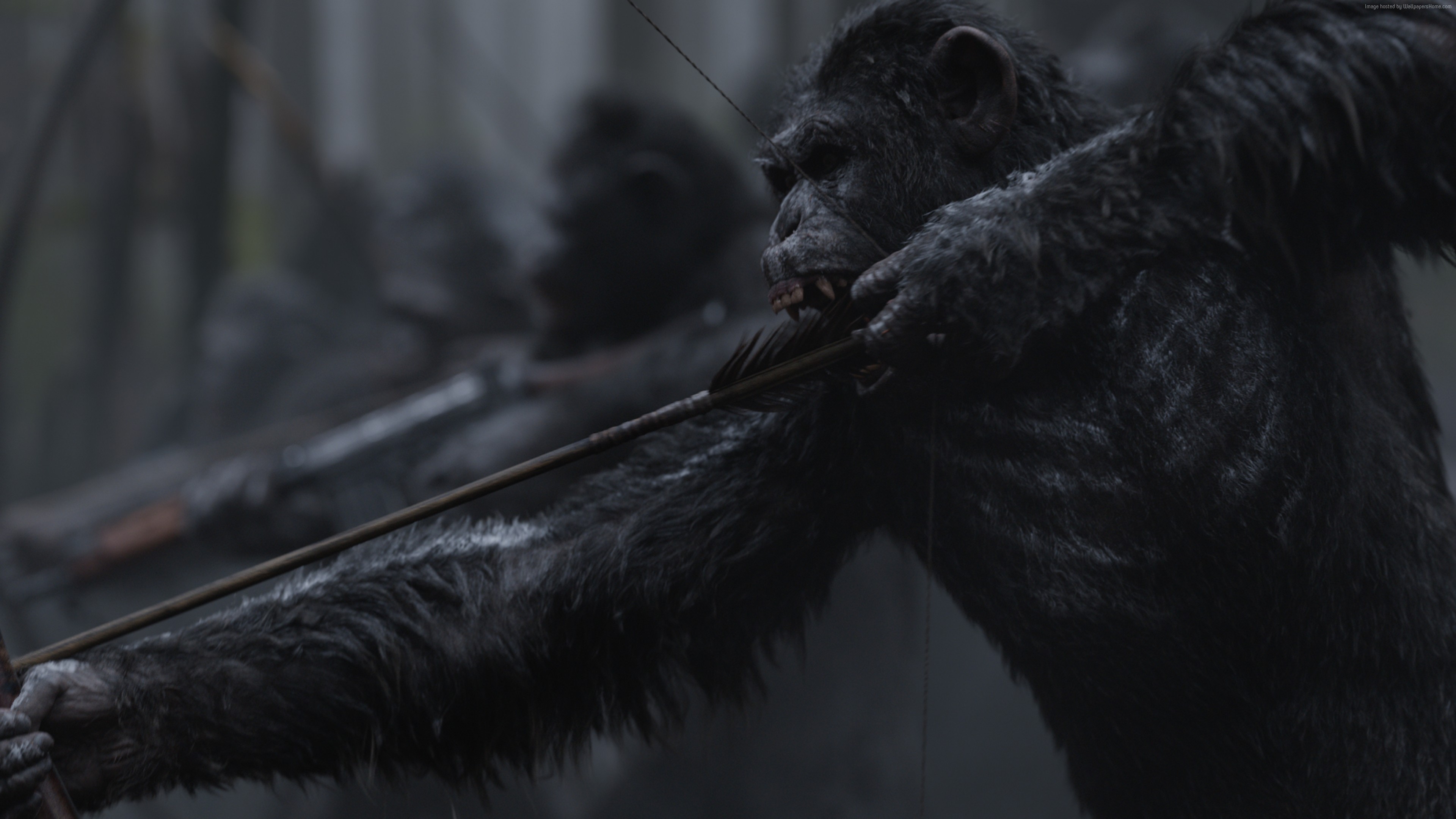 Caesar from War for the Planet of the Apes 4K HD Wallpaper
