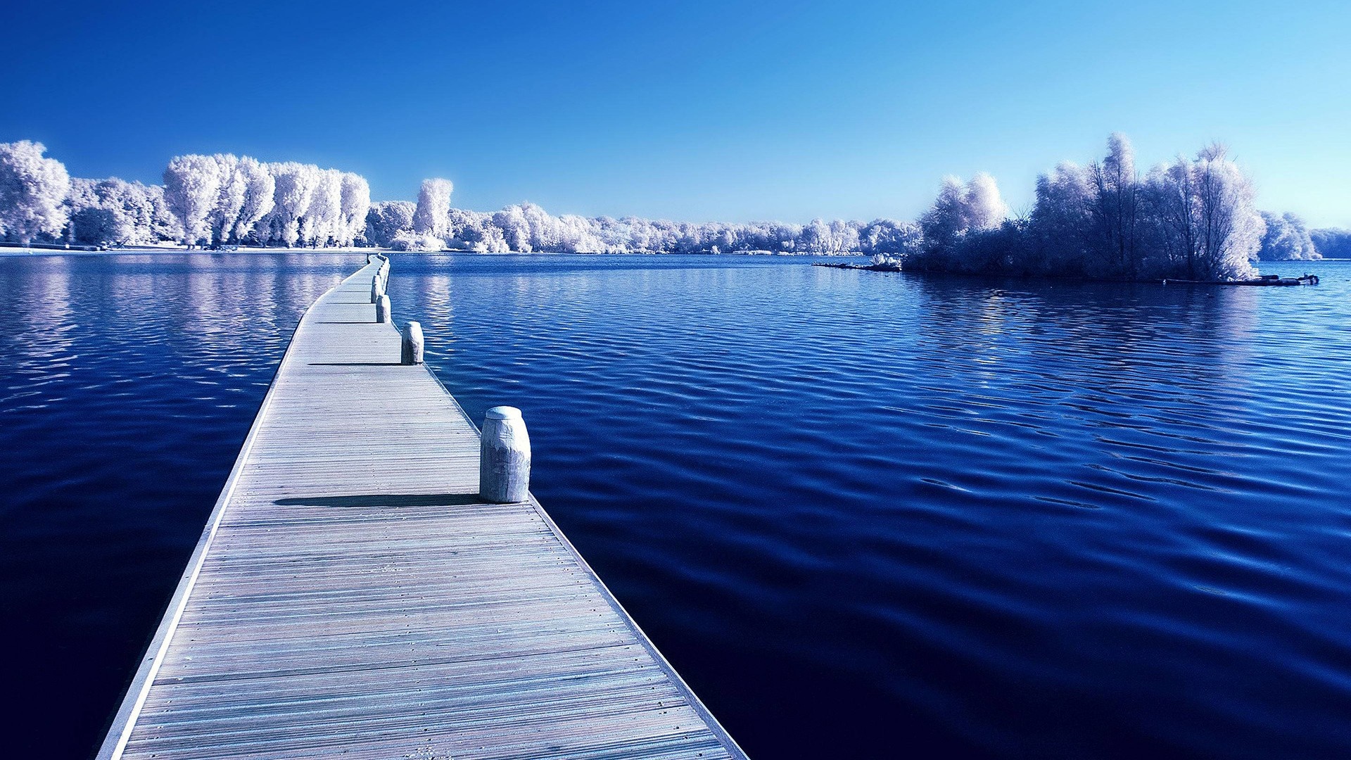 Wooden dock on a blue lake with white trees HD Wallpaper