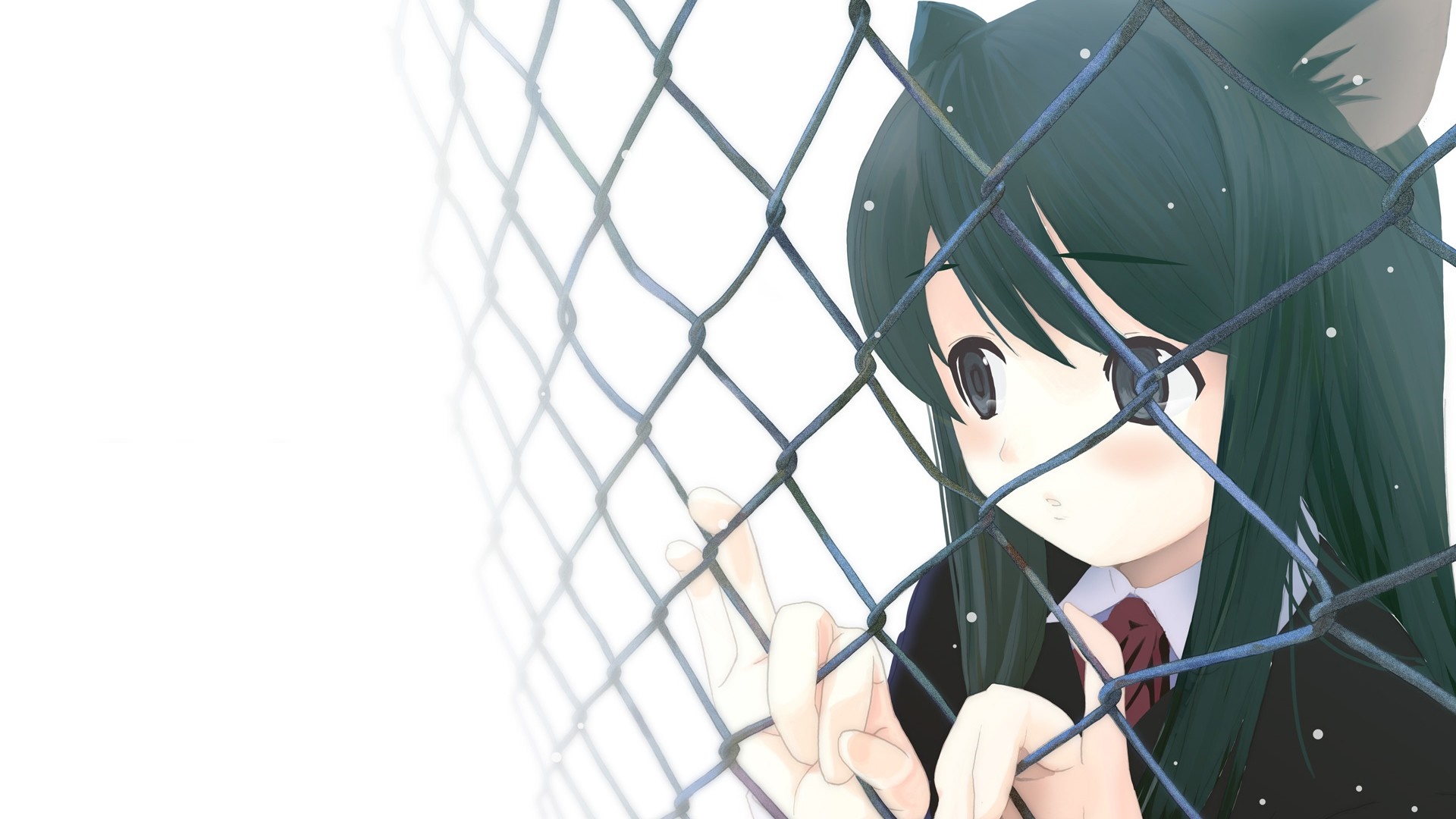 Anime girl with cat ears behind a fence HD Wallpaper