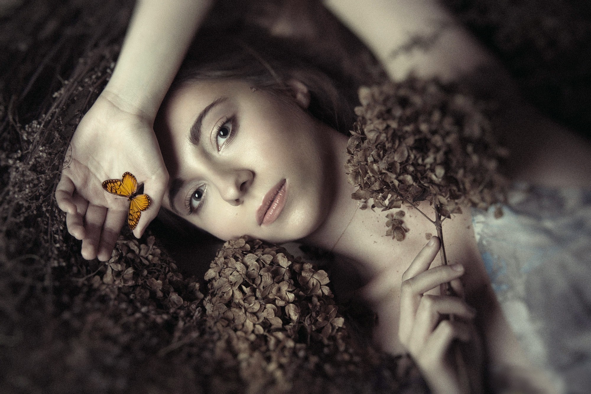Woman with butterfly and dried flowers HD Wallpaper