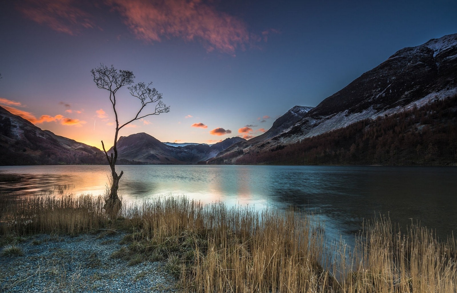 Lone tree by a lake at sunset with mountains HD Wallpaper