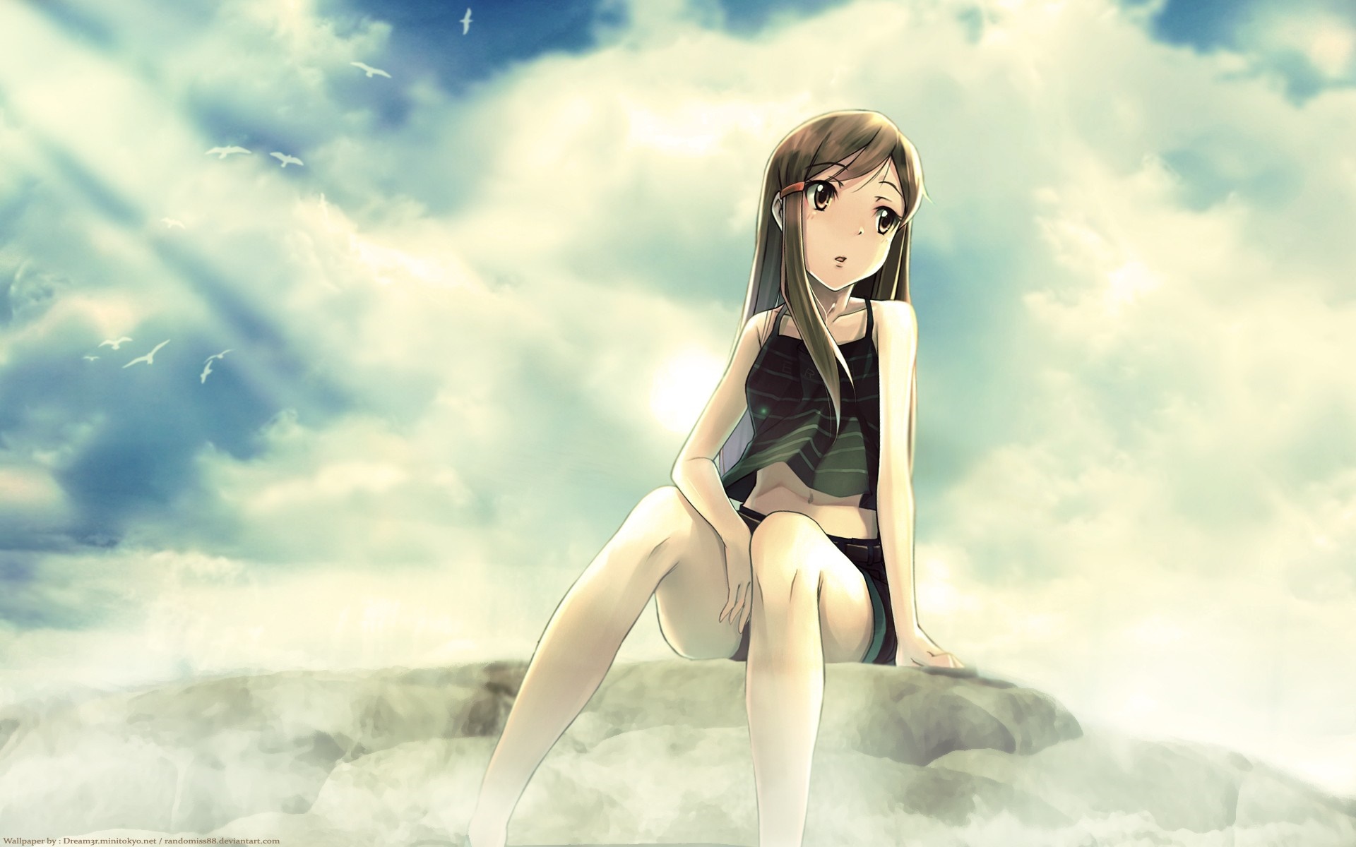 Anime girl sitting on a rock with clouds and birds in the background HD Wallpaper