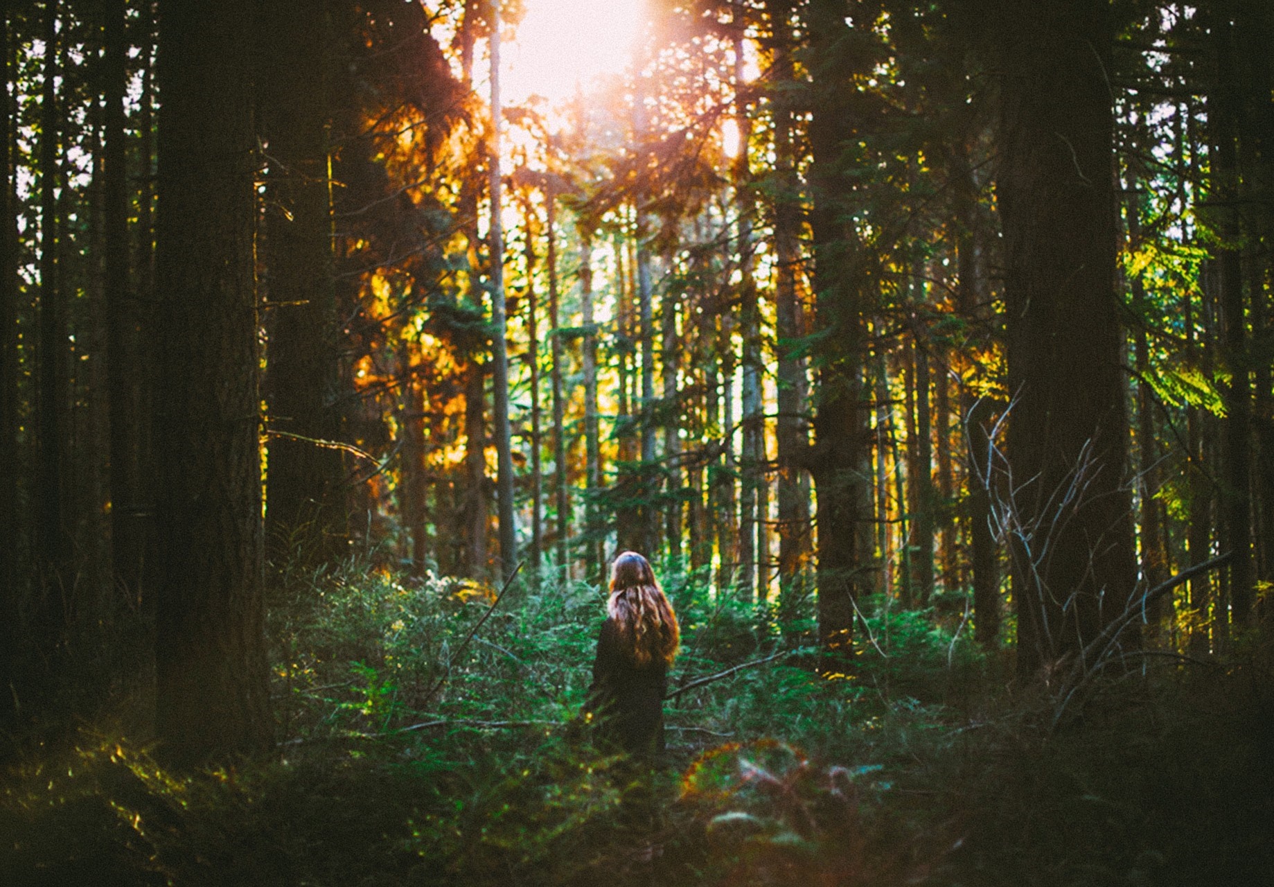 Woman in a sunlit forest HD Wallpaper