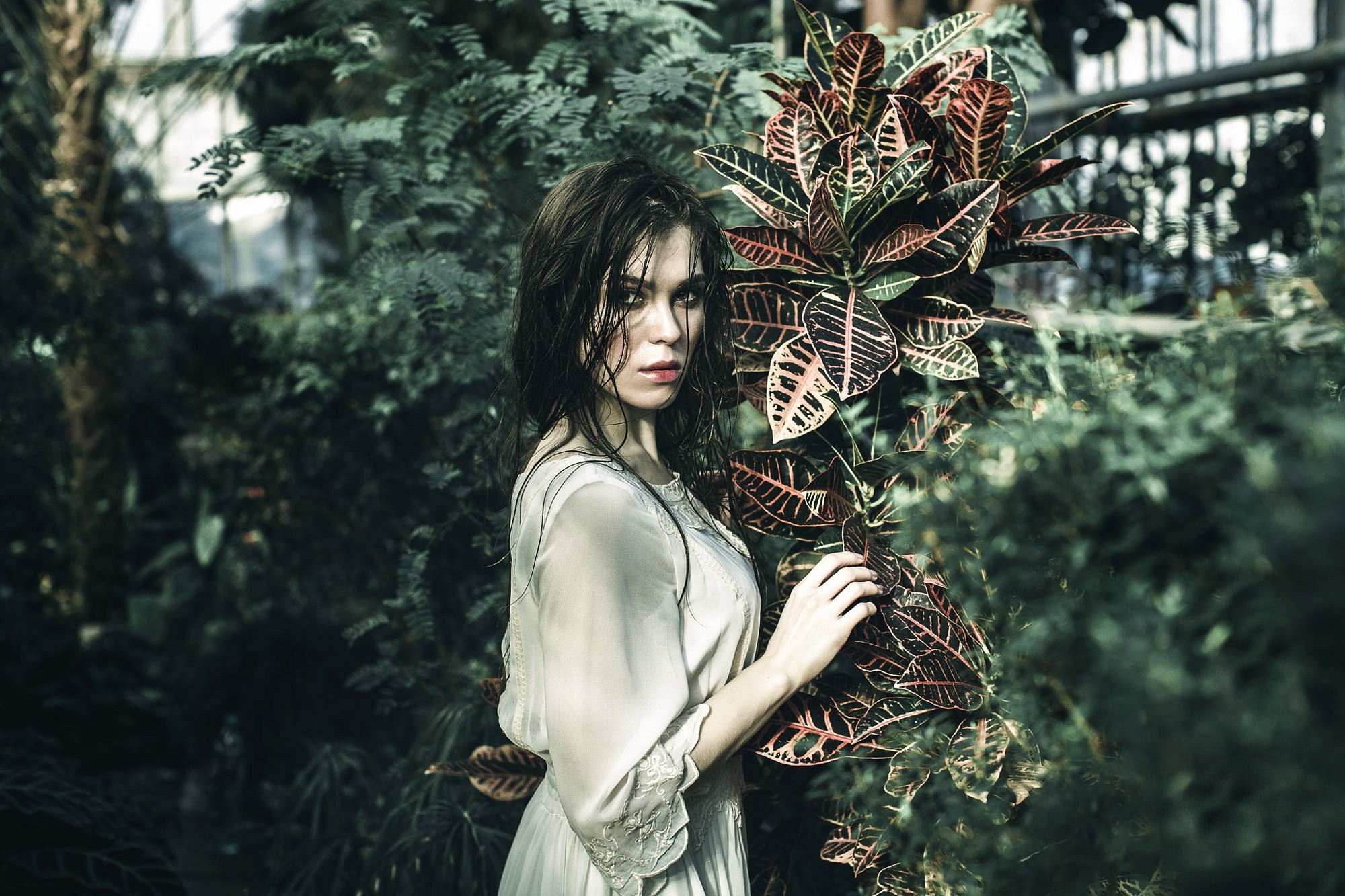 Woman in a dress in a botanical garden HD Wallpaper