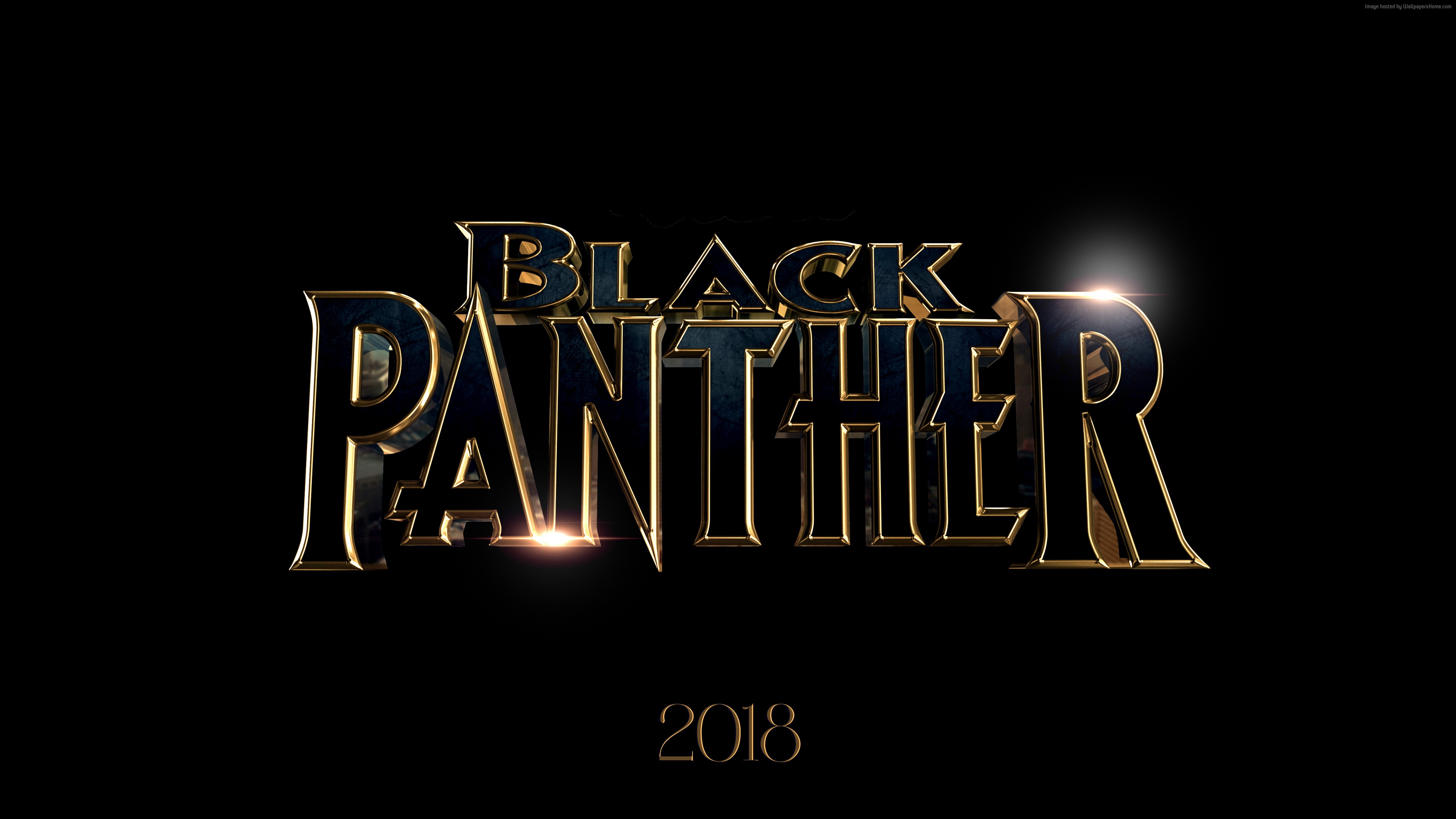 Black Panther 4K 2018 Poster HD Wallpaper