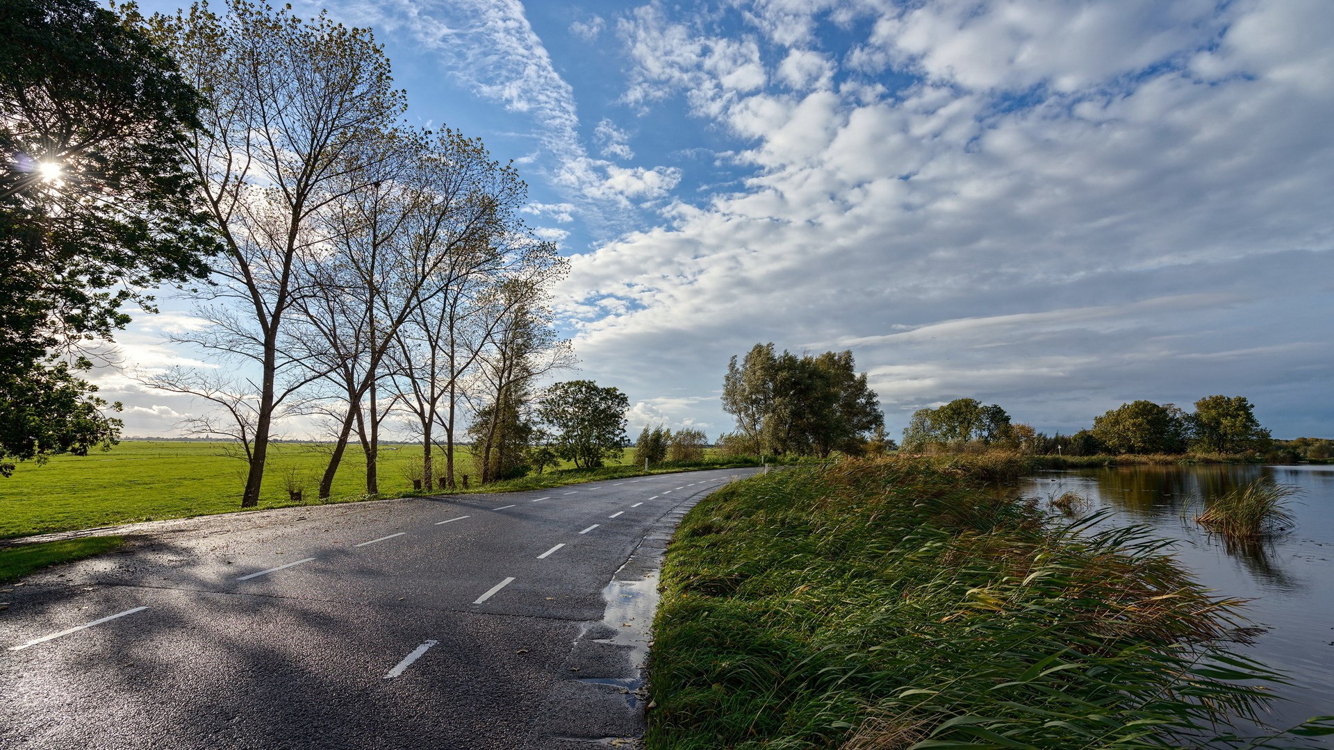 Road curving alongside a body of water with trees and clouds HD Wallpaper