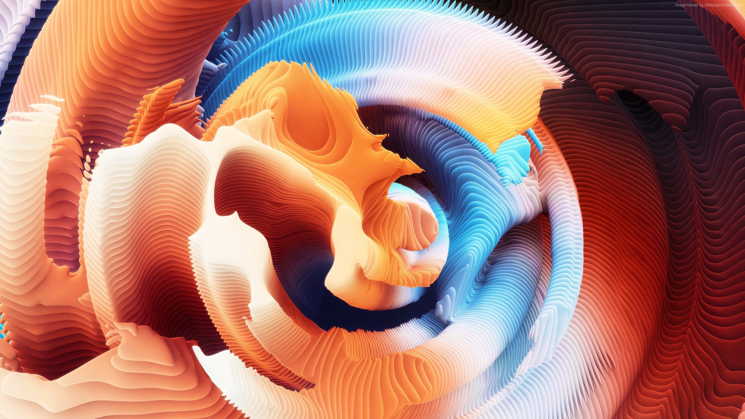 Abstract layered spiral with orange and blue colors HD Wallpaper