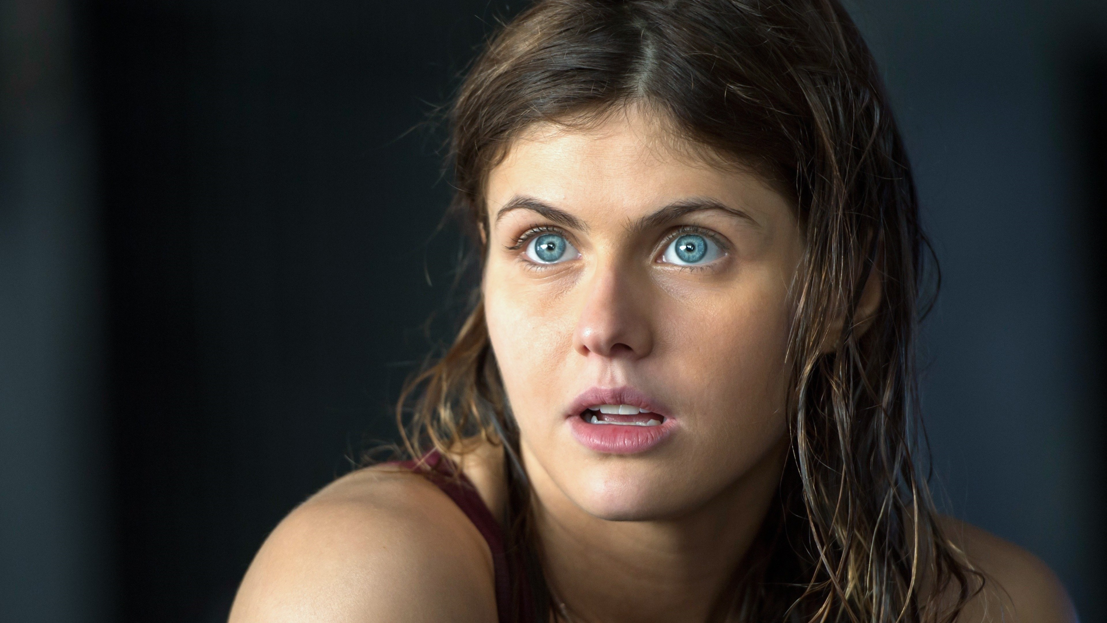 Photo 4k Alexandra Daddario HD Wallpaper Rare Gallery