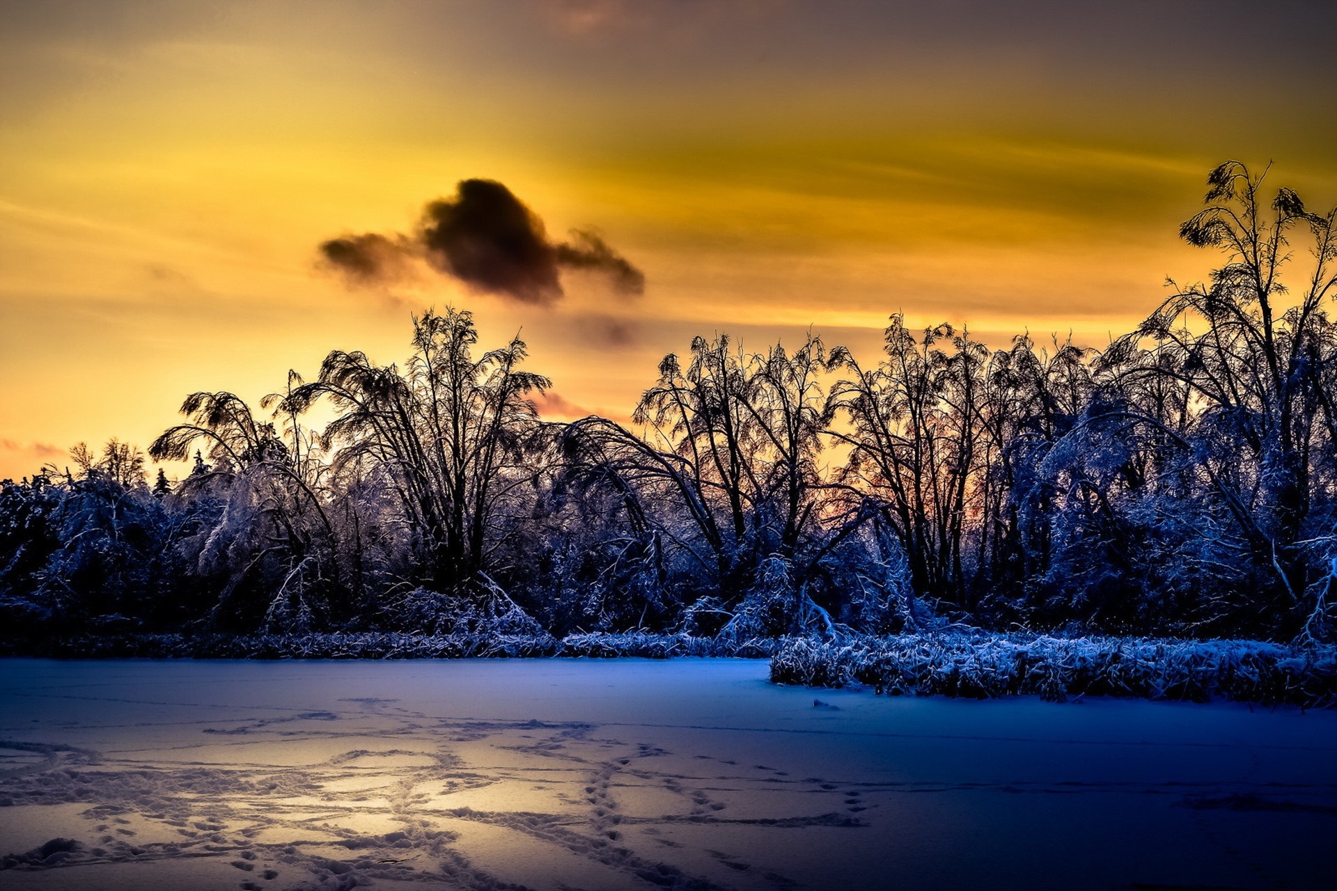Winter sunset over a frozen landscape with snow-covered trees HD Wallpaper