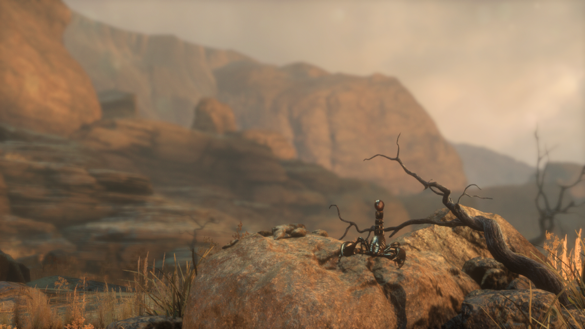 Scorpion in Rise of the Tomb Raider desert landscape HD Wallpaper