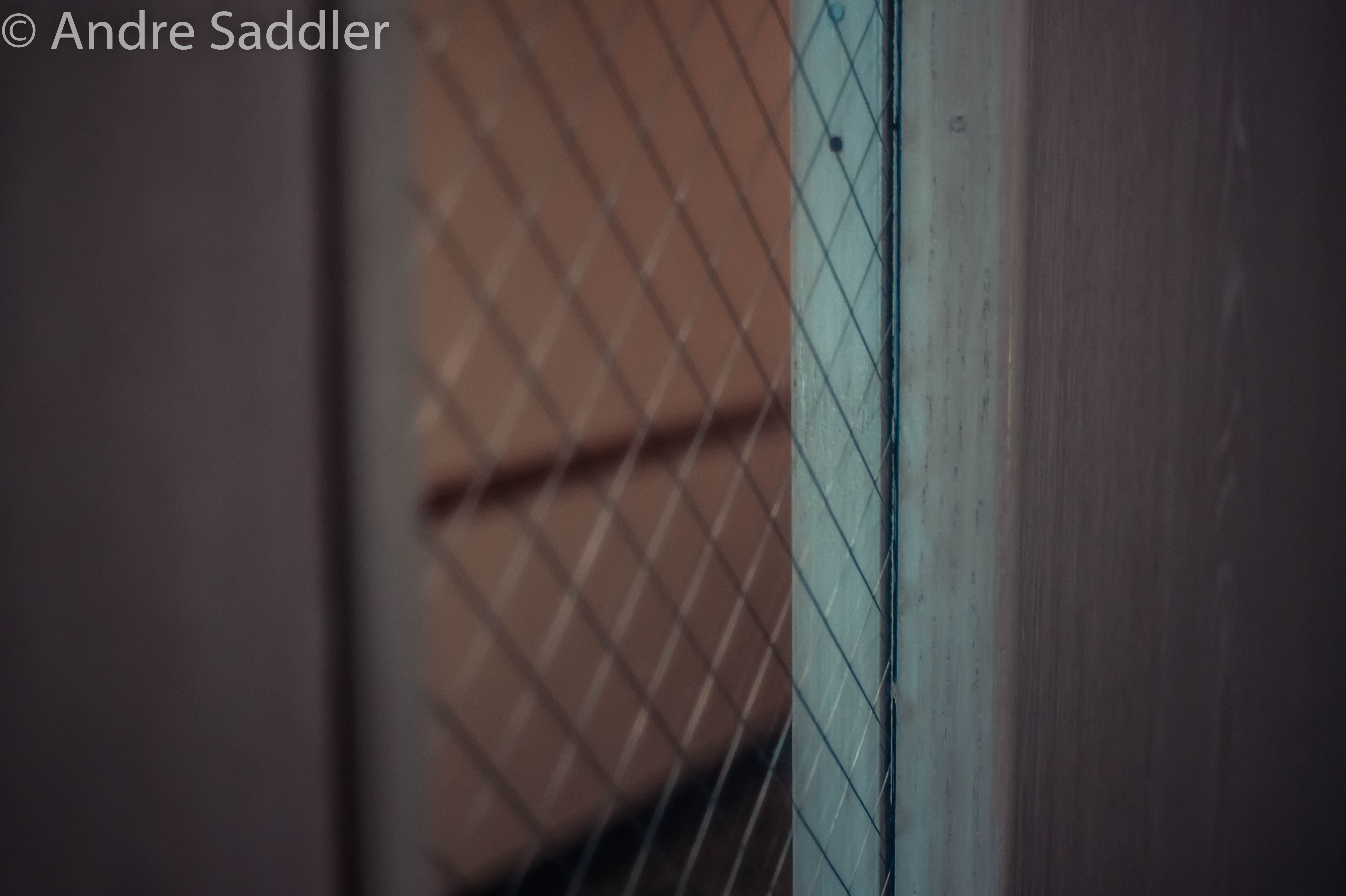 Andre Saddler watermark on a door with a window HD Wallpaper